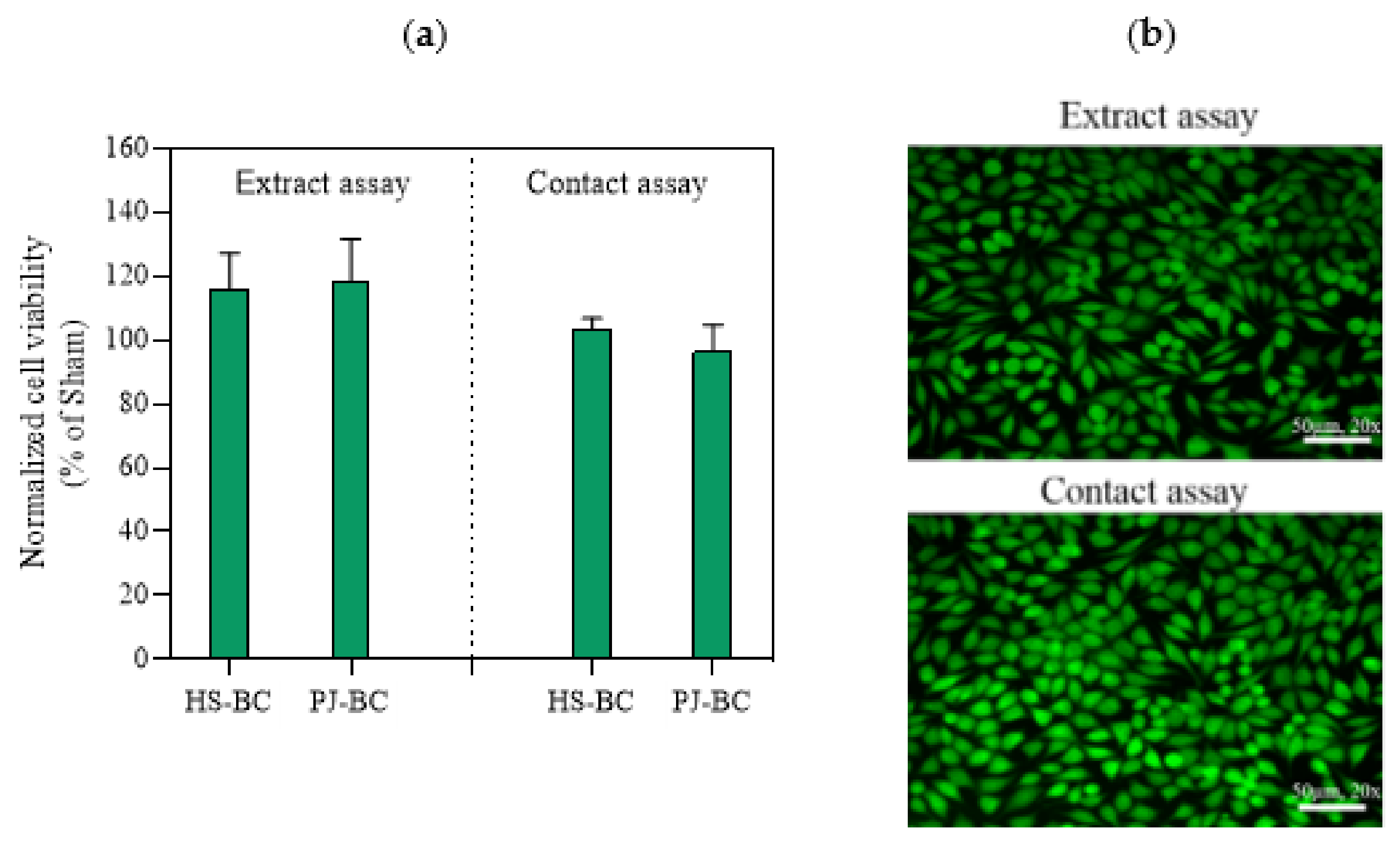 Ijms 22 10807 g008 550