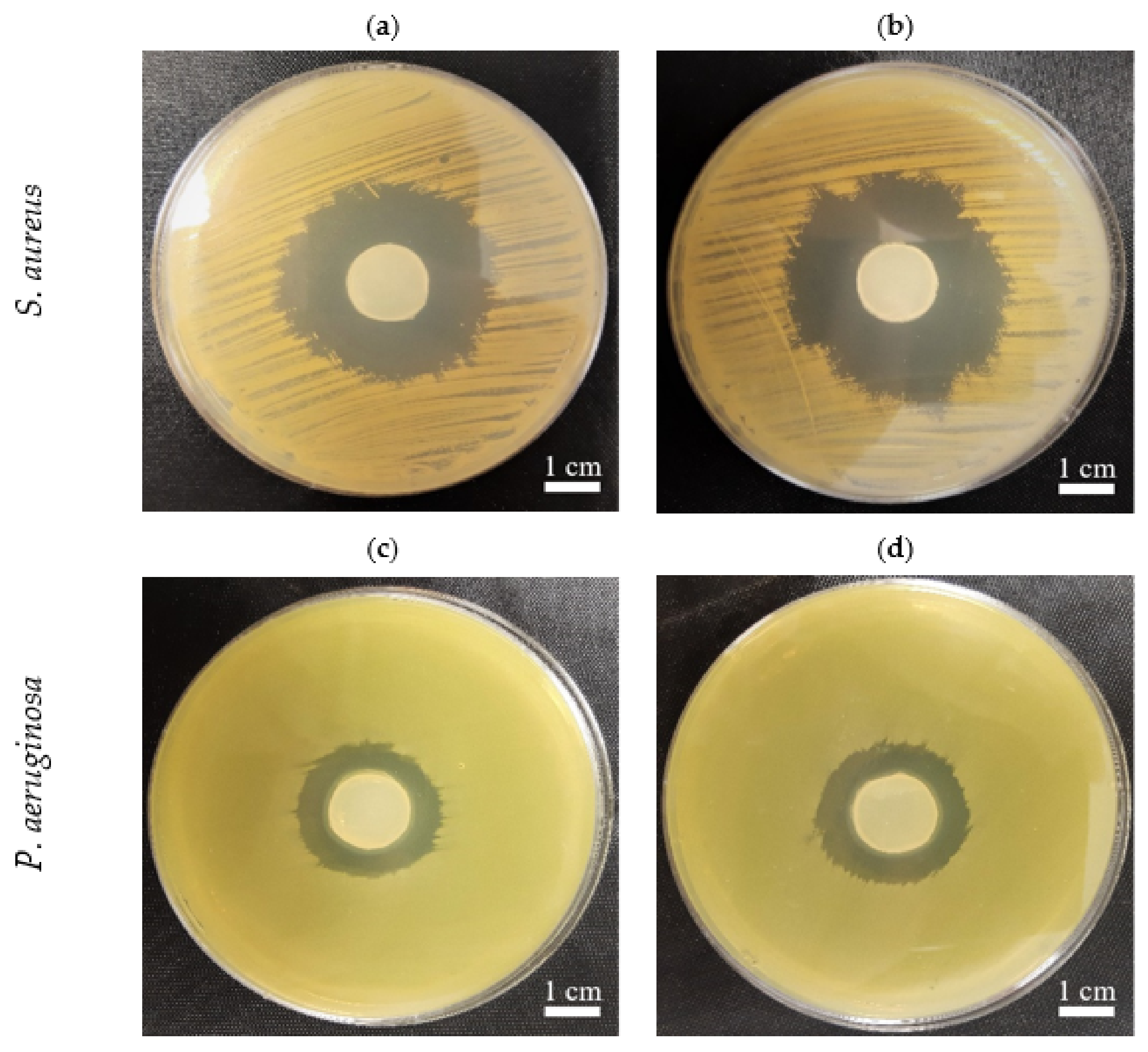 Ijms 22 10807 g009 550