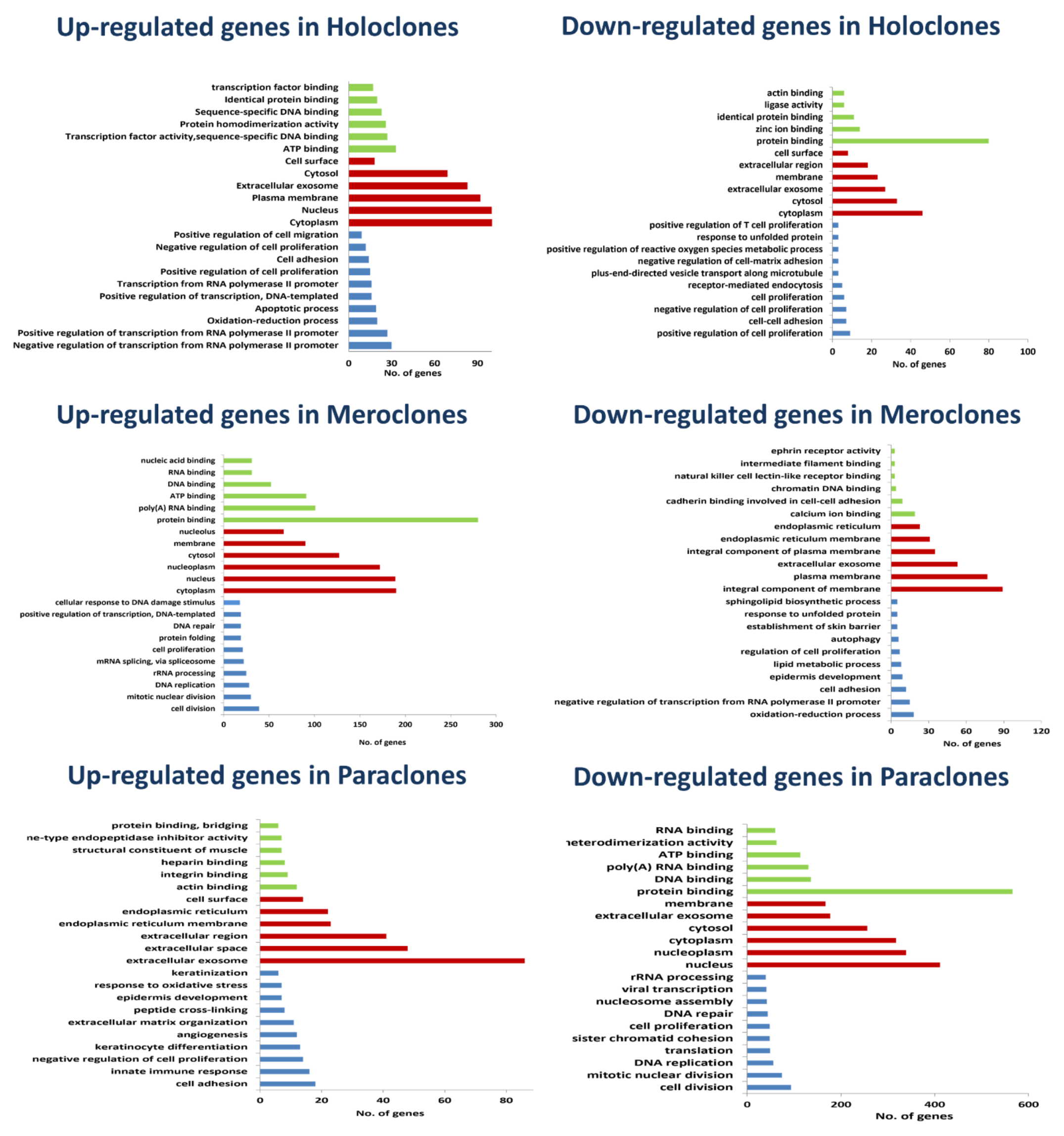 Ijms 22 10810 g003 Ijms 22 10810 g003