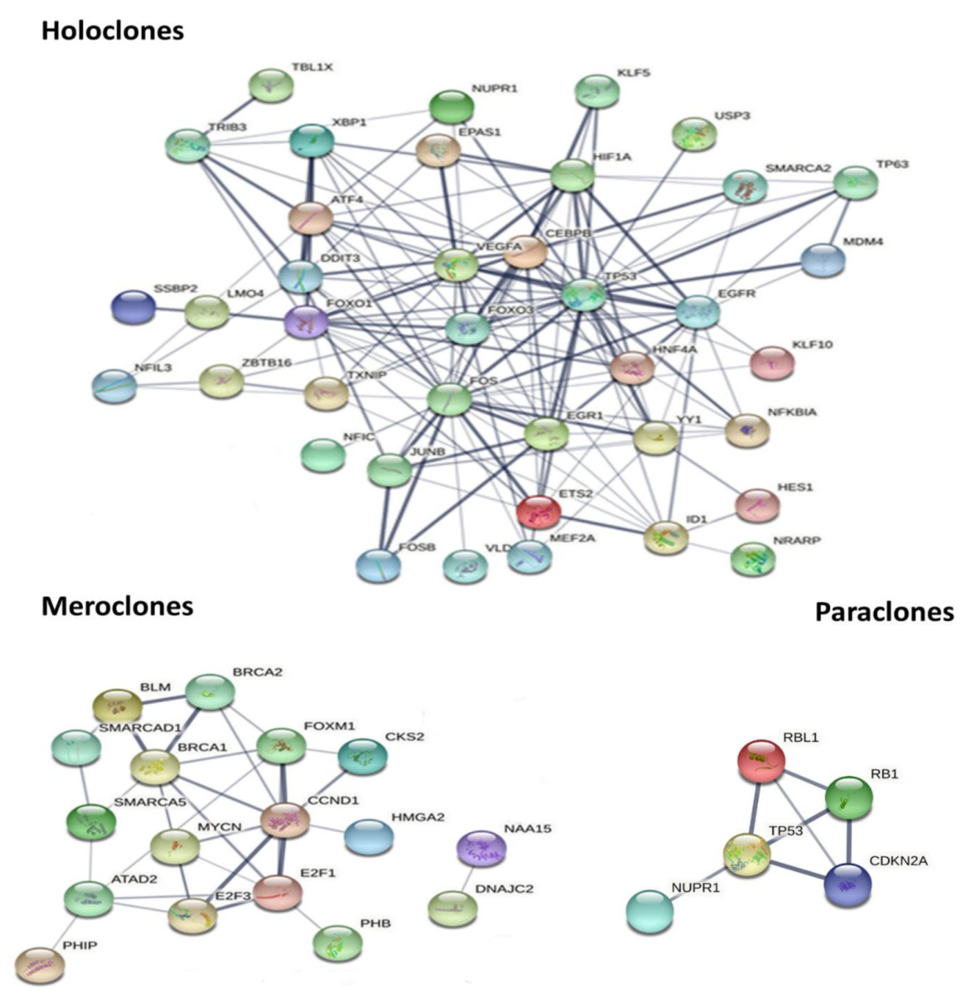 Ijms 22 10810 g004 Ijms 22 10810 g004