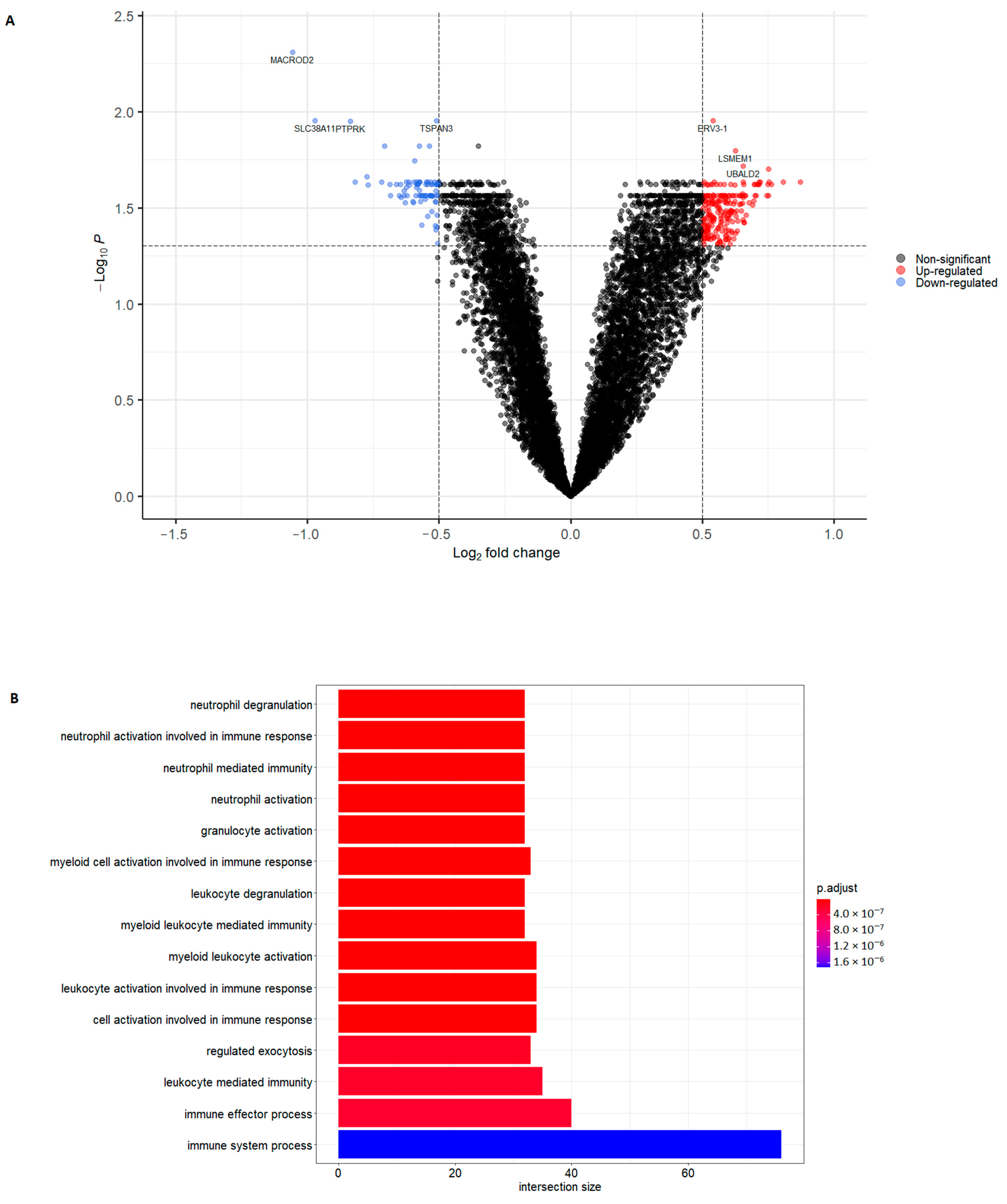 Ijms 22 10818 g001 550