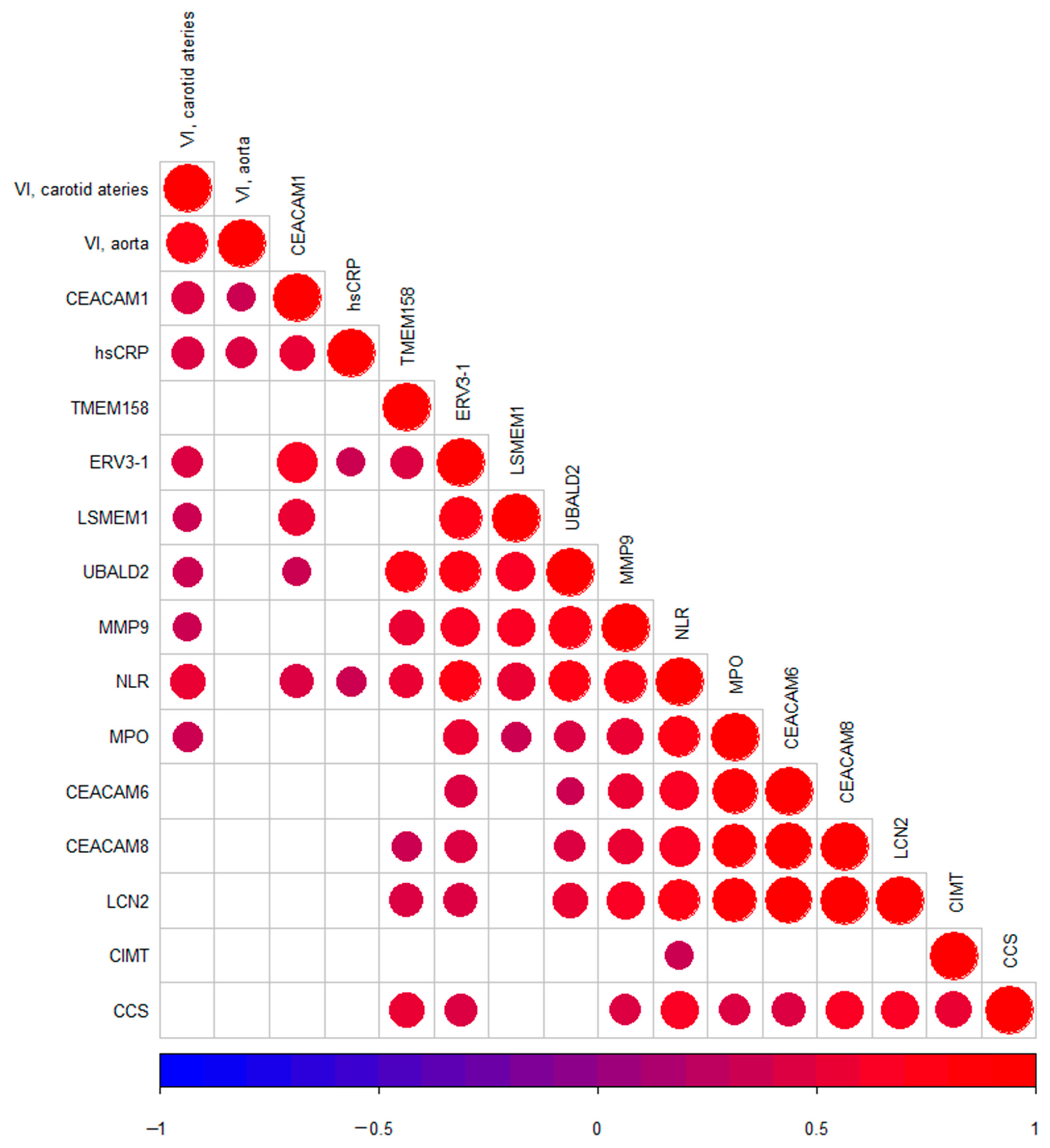 Ijms 22 10818 g003 550