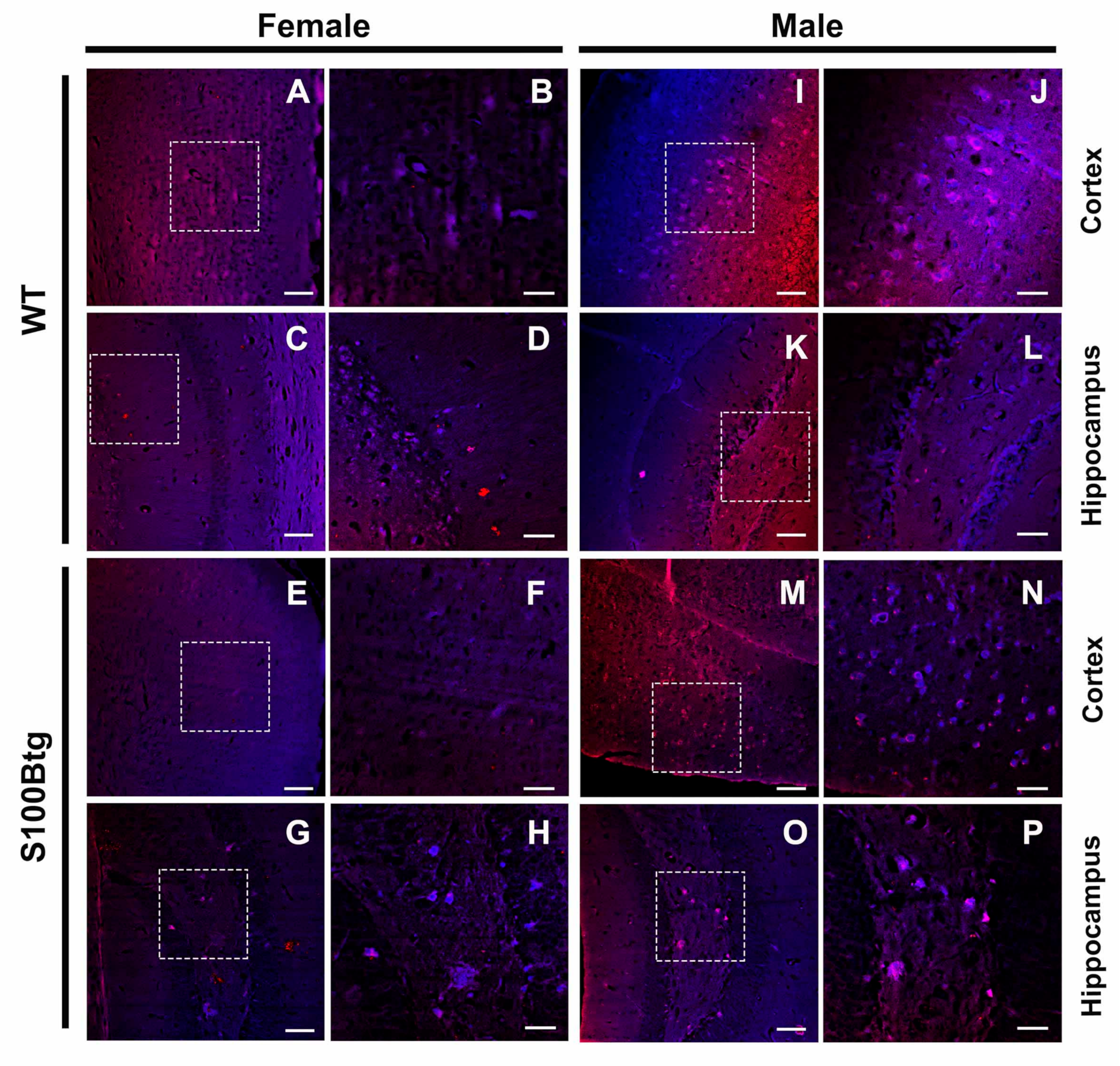 Ijms 22 10823 g004 550