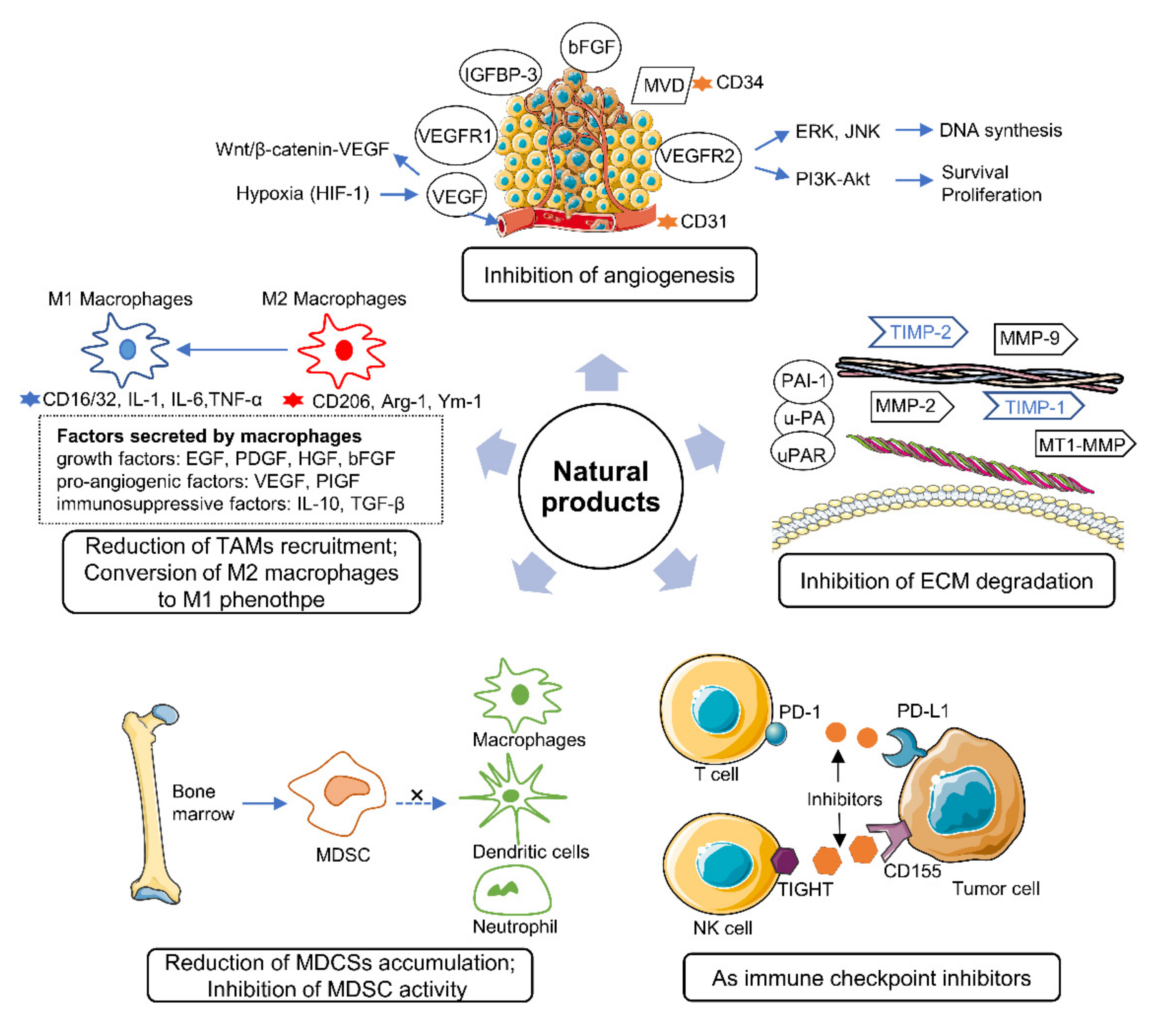 Ijms 22 10827 g001 550