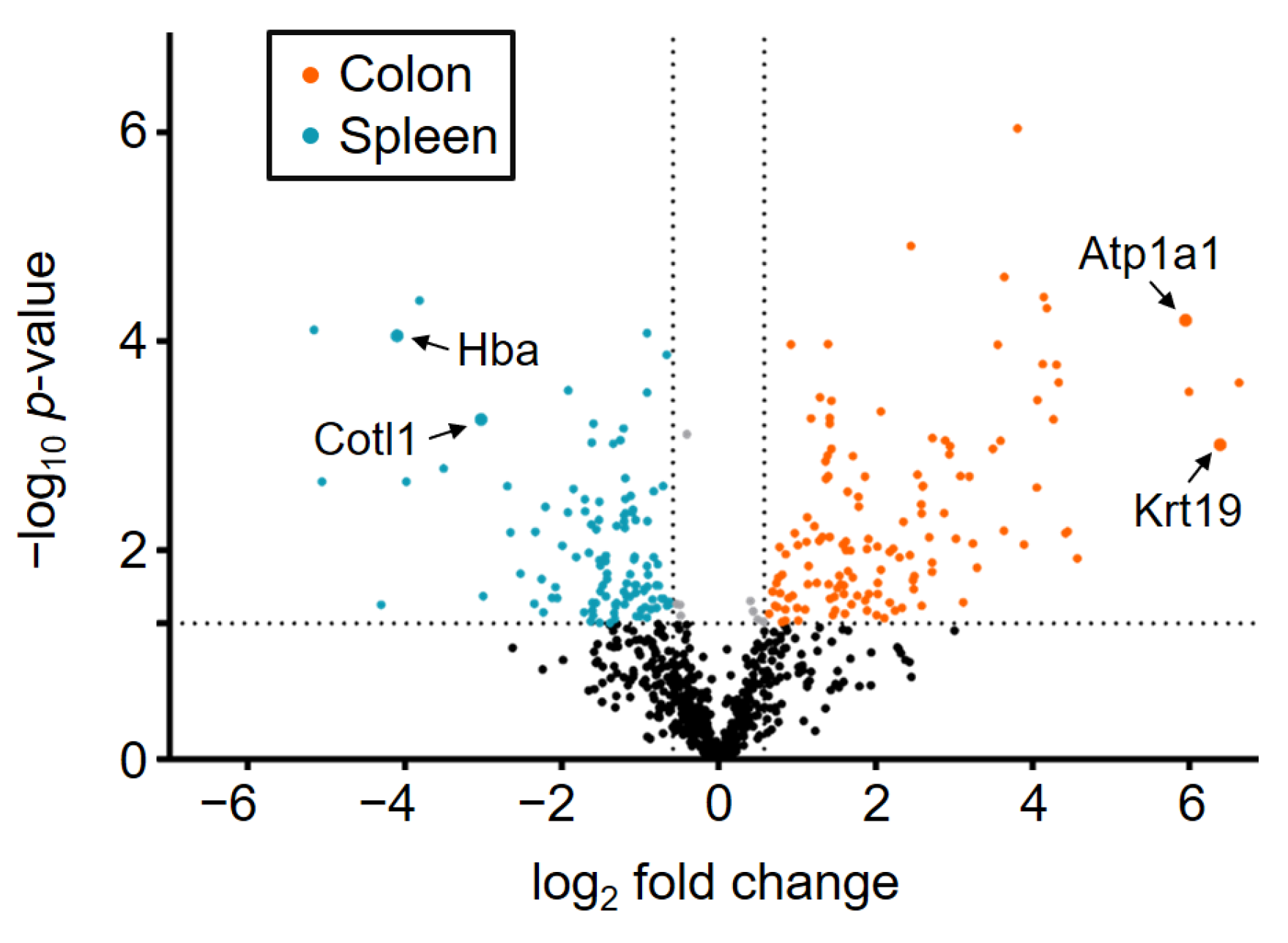Ijms 22 10833 g004 550