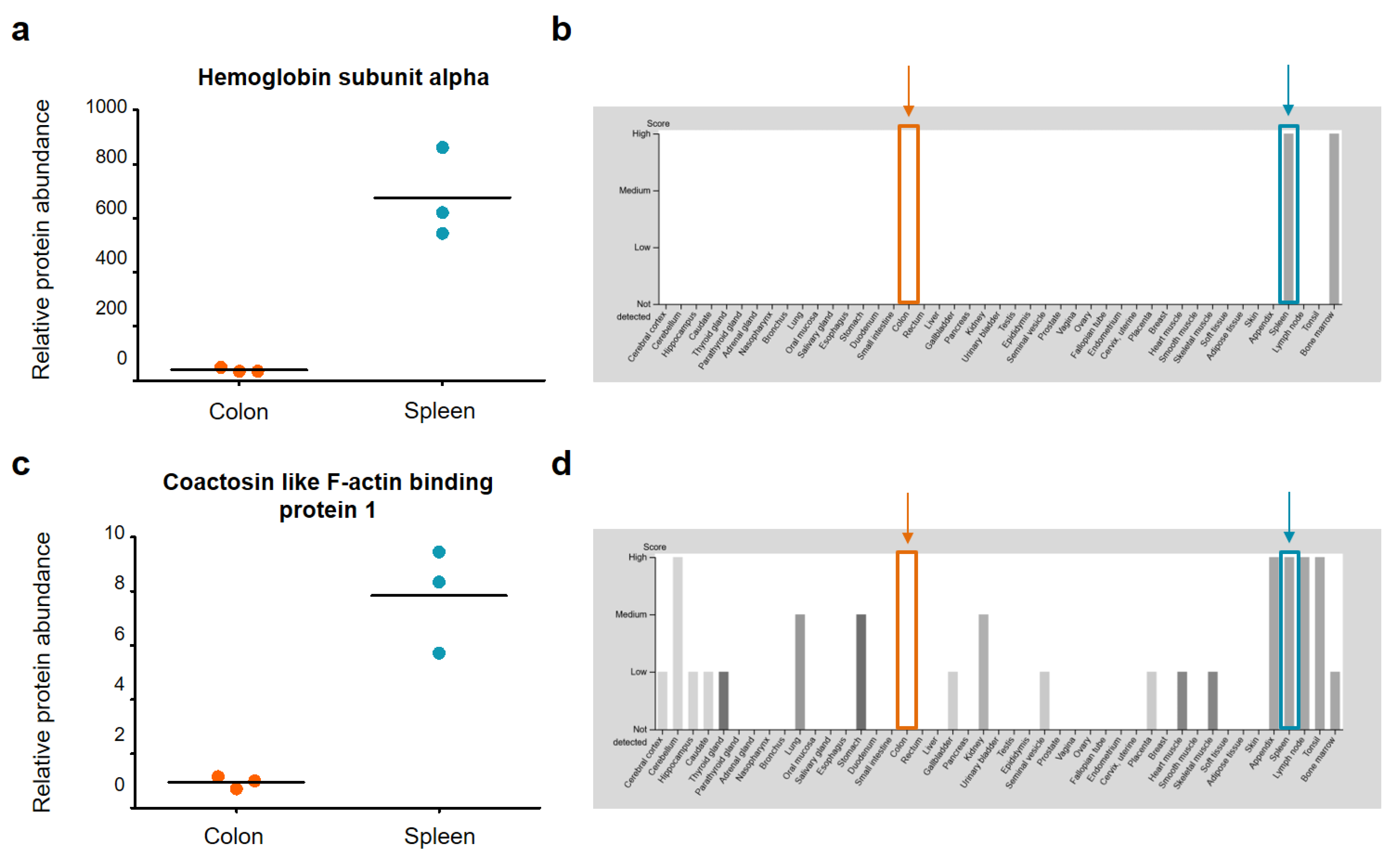 Ijms 22 10833 g006 550
