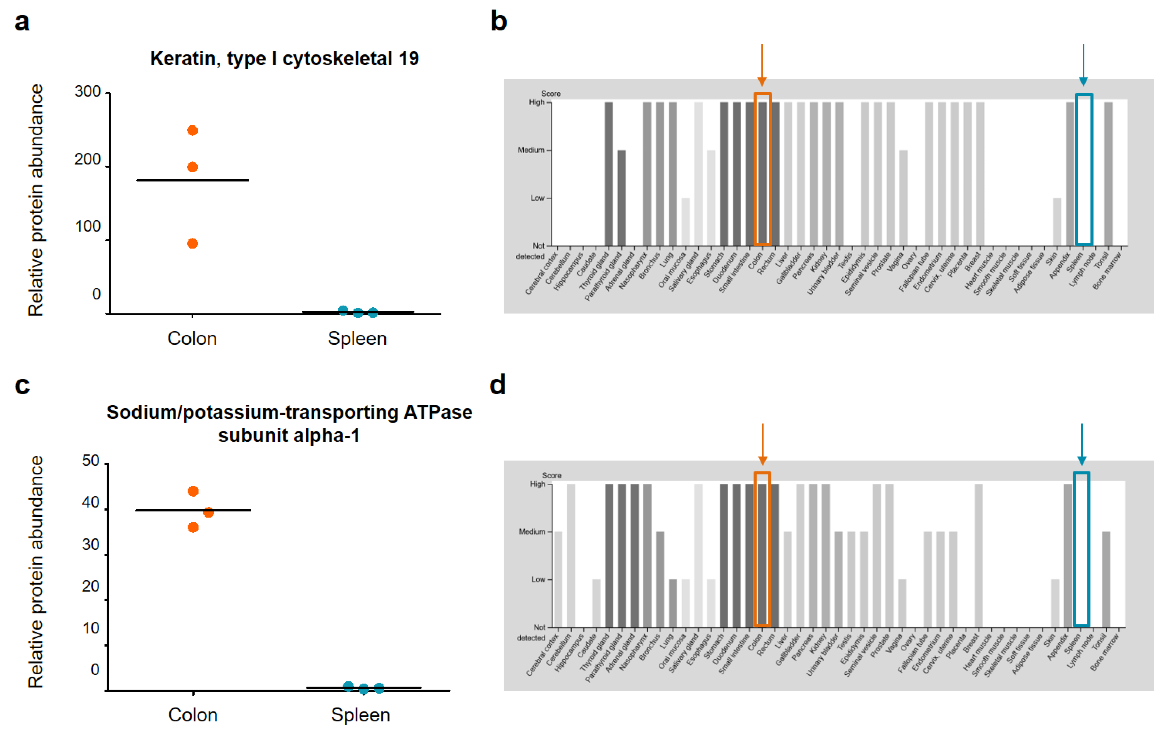 Ijms 22 10833 g007 550