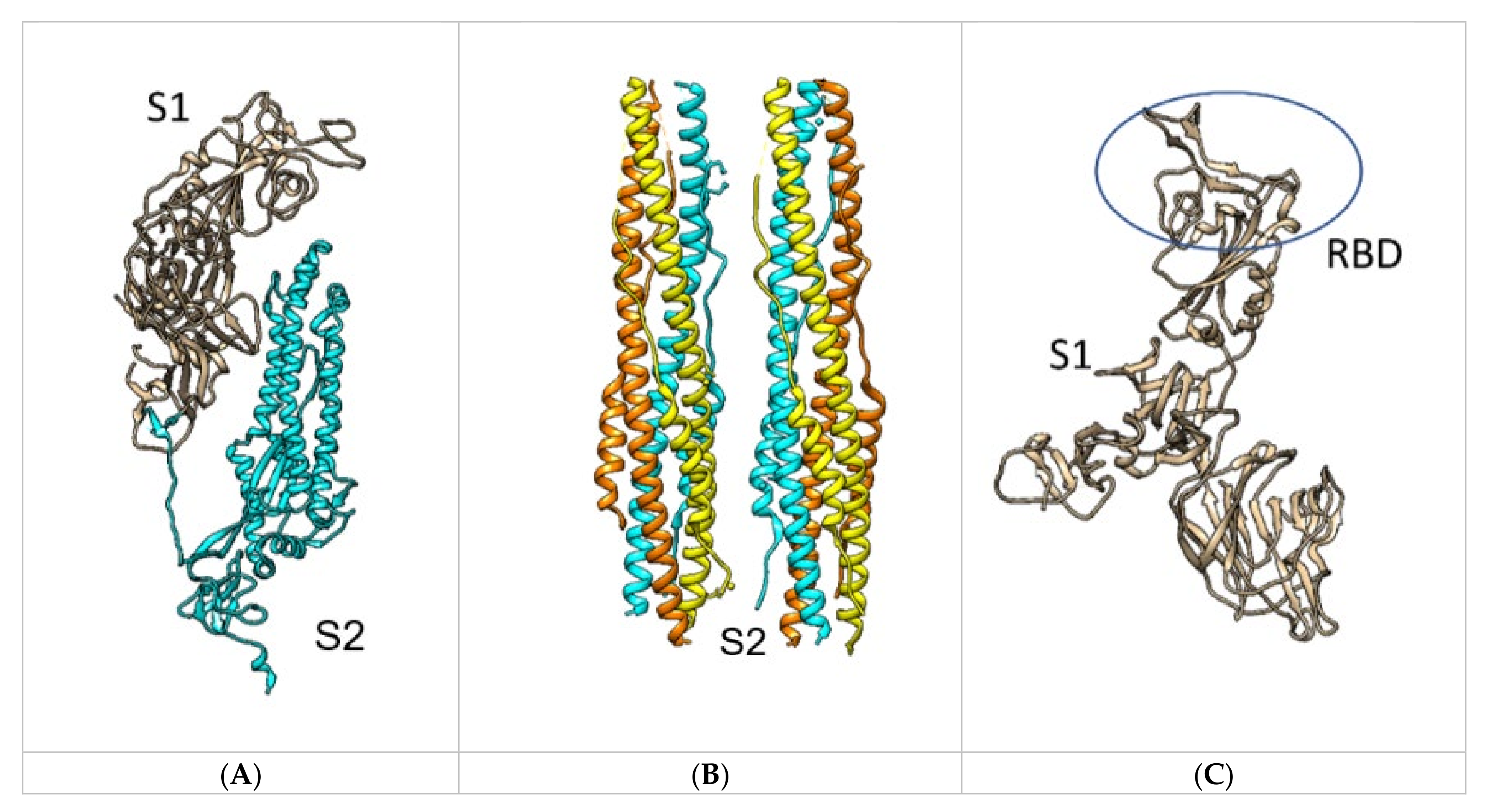 Ijms 22 10836 g002 550