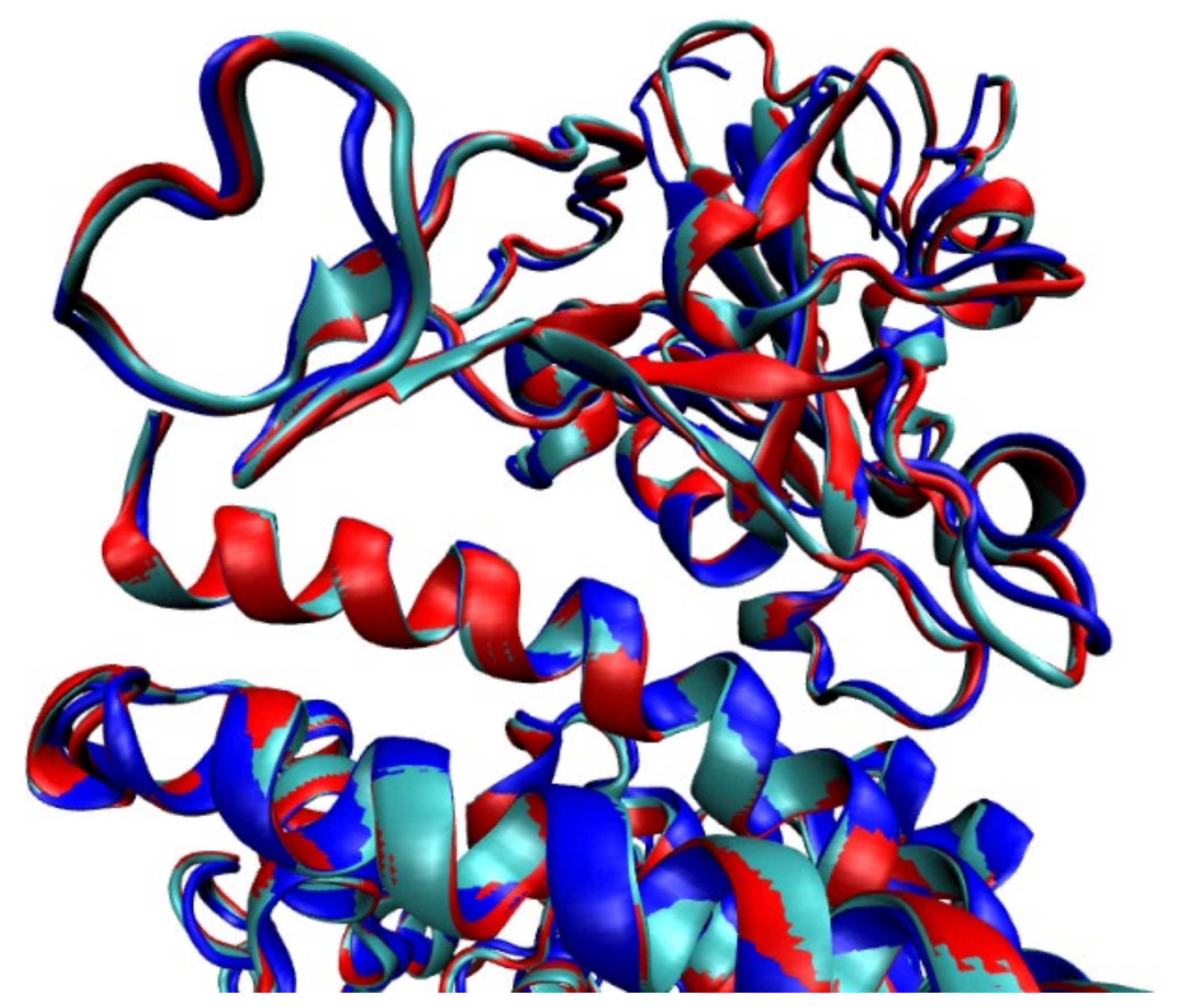 Ijms 22 10836 g005 550