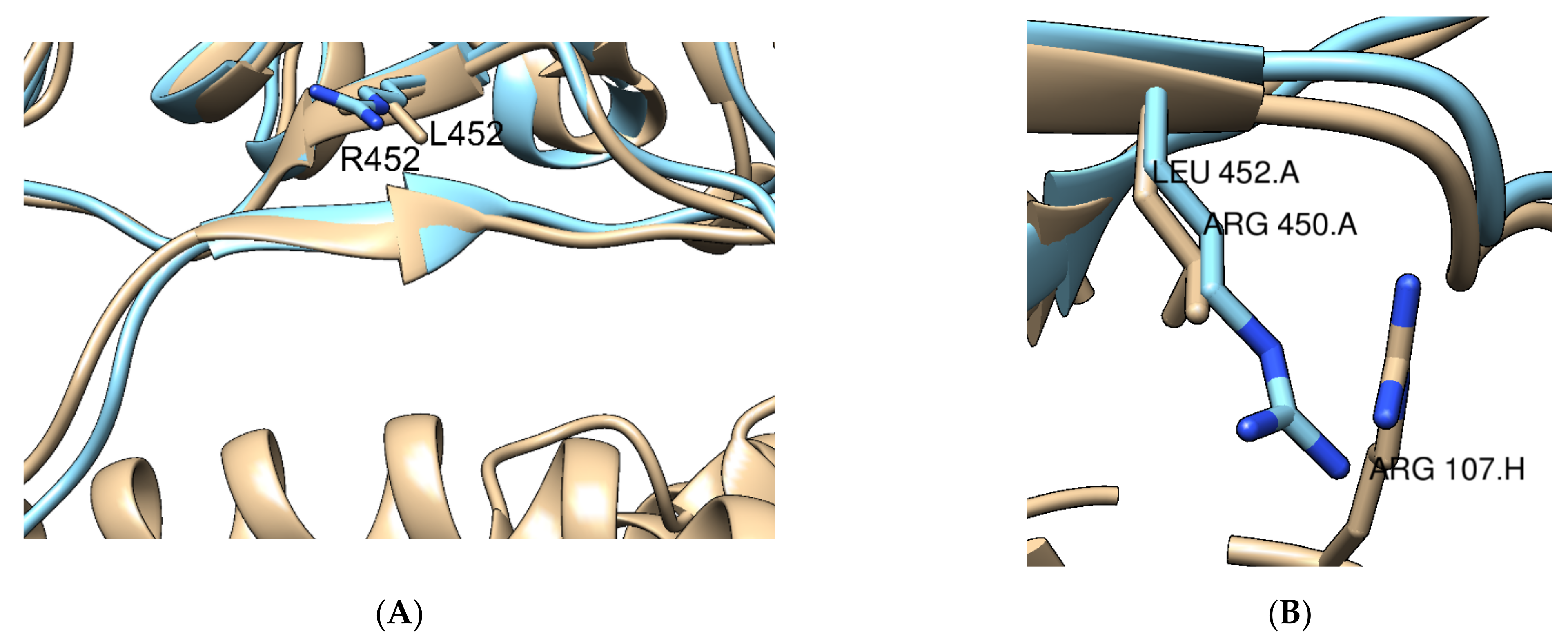 Ijms 22 10836 g010 550