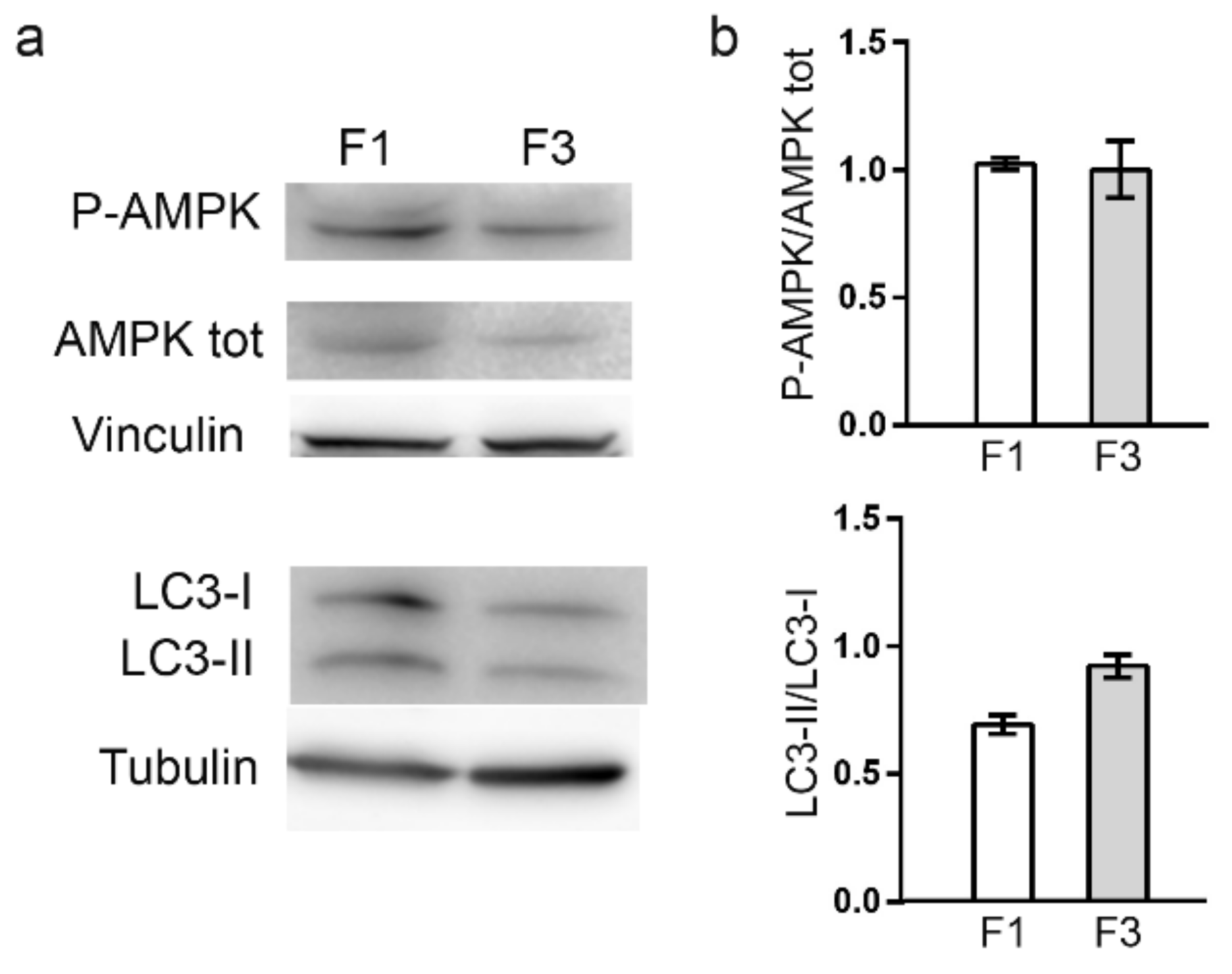 Ijms 22 10837 g010 550