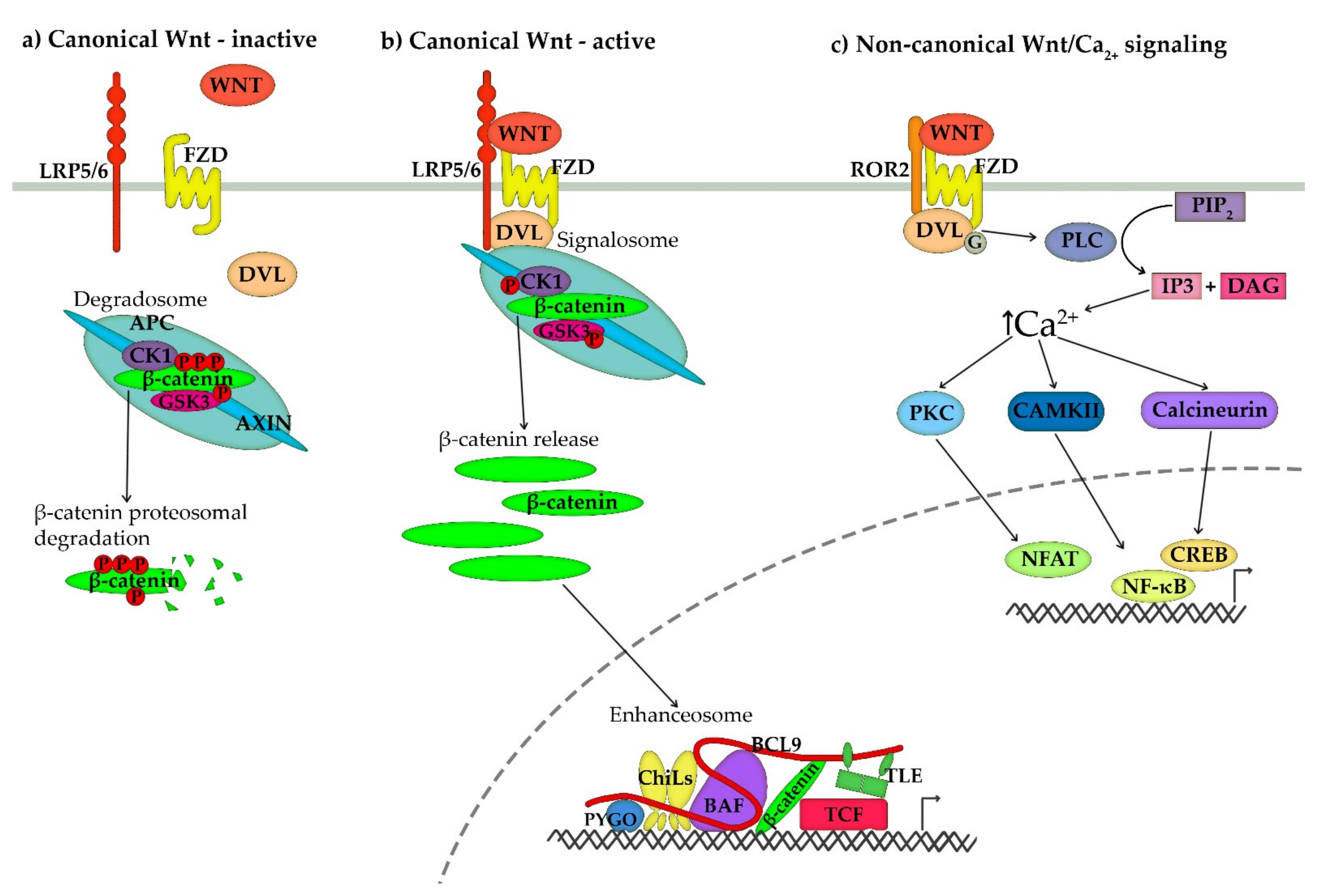 Ijms 22 10840 sch001 550