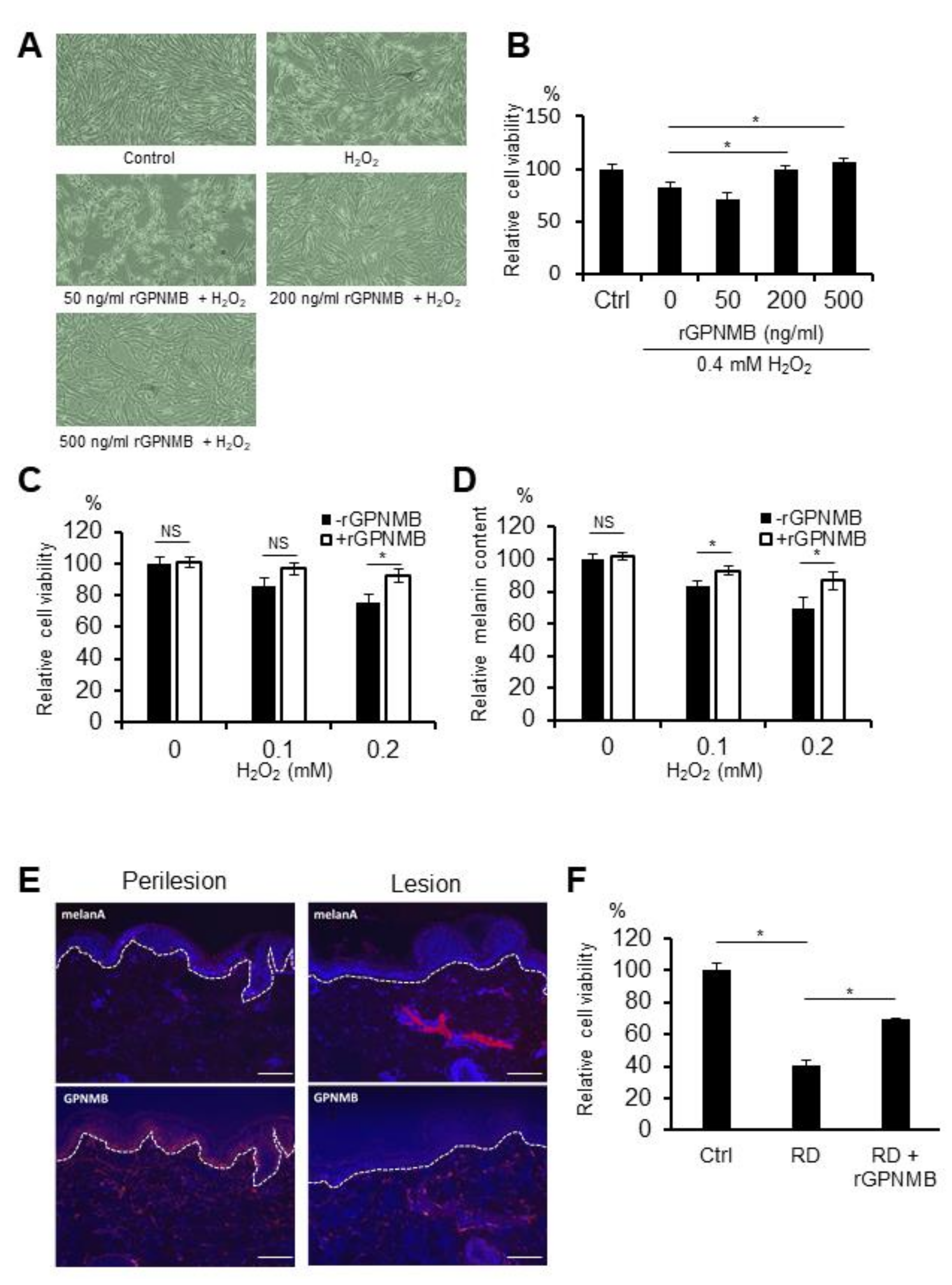Ijms 22 10843 g001 550