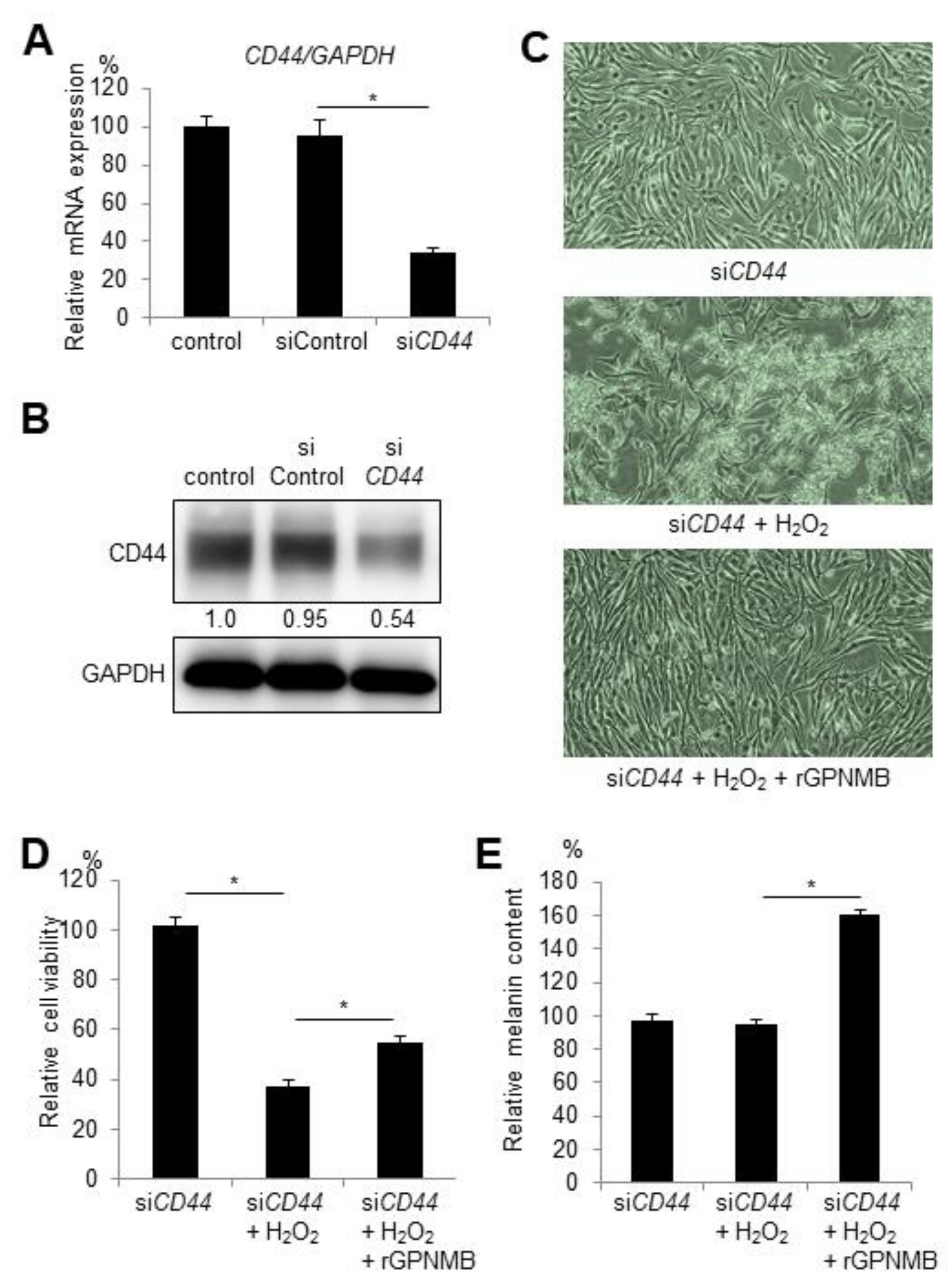 Ijms 22 10843 g002 550