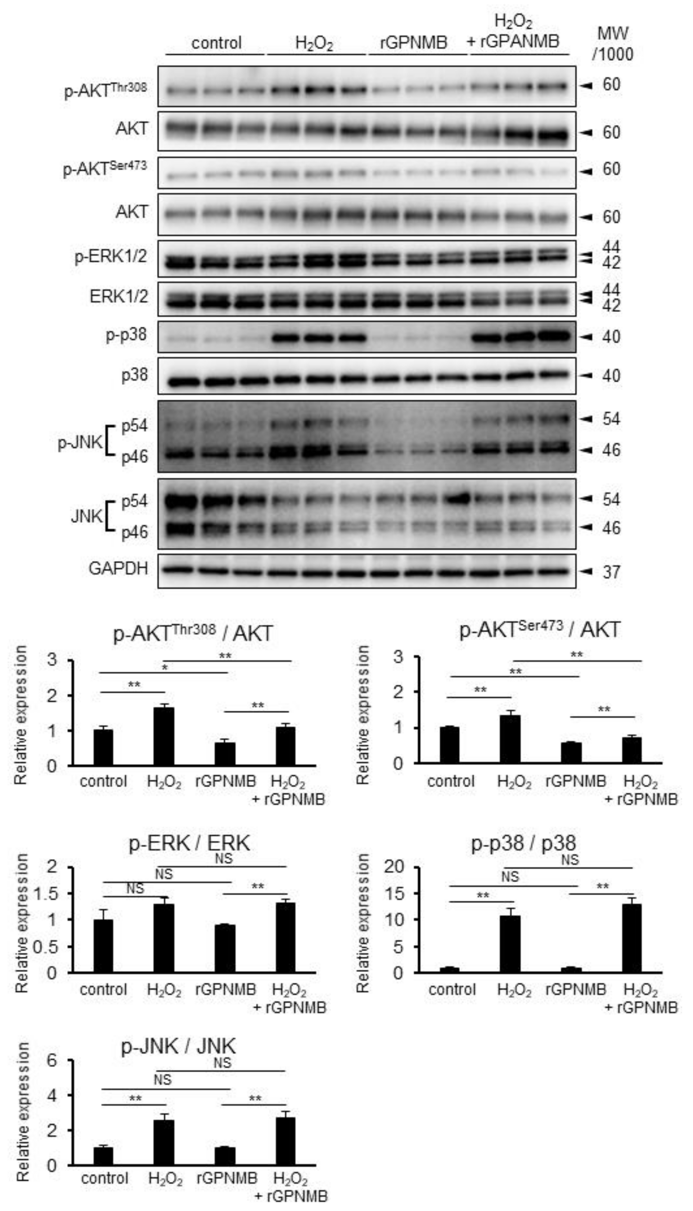 Ijms 22 10843 g003 550