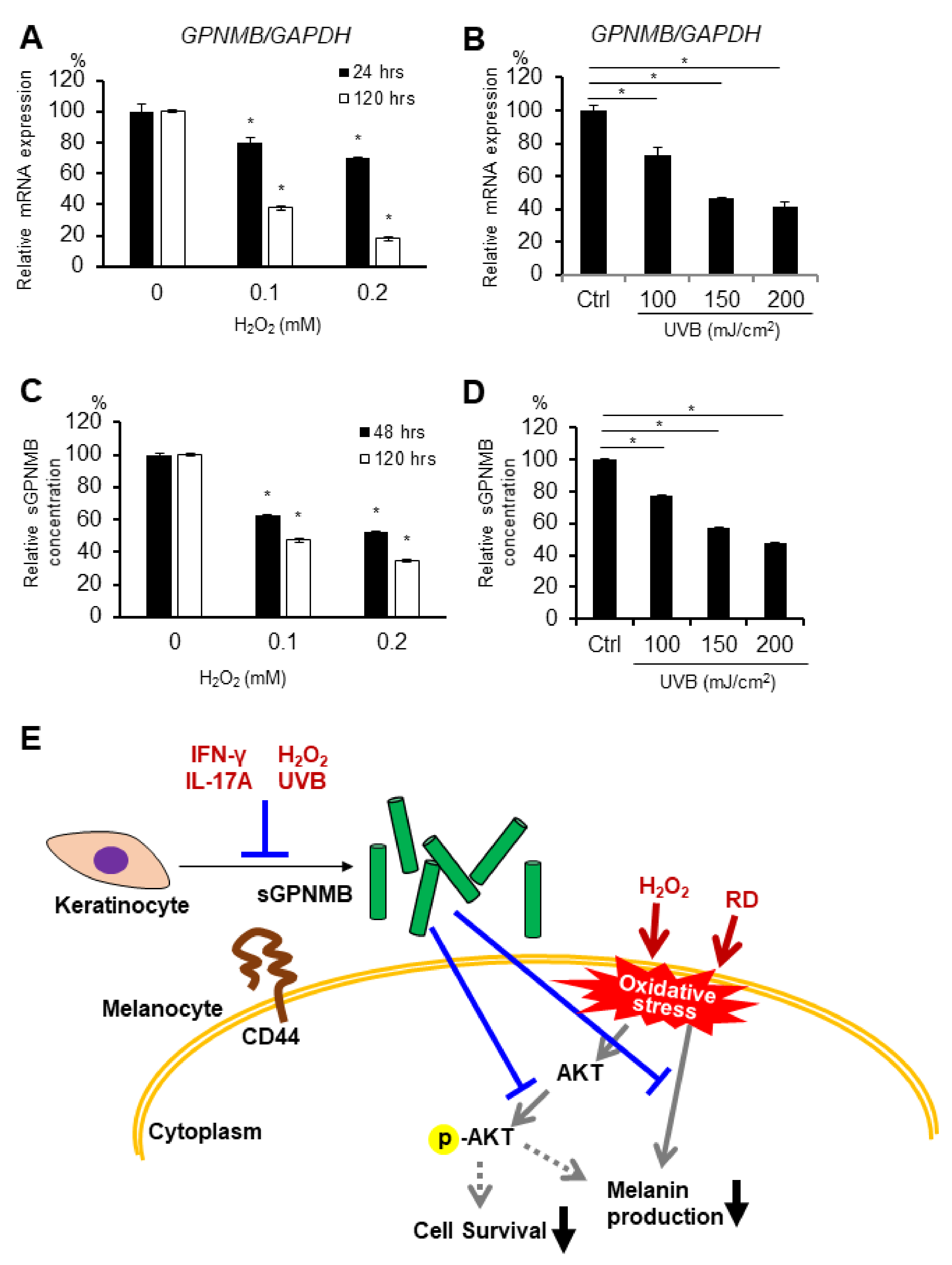 Ijms 22 10843 g004 550