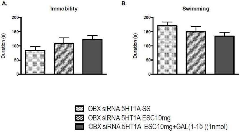 Ijms 22 10848 g003 550