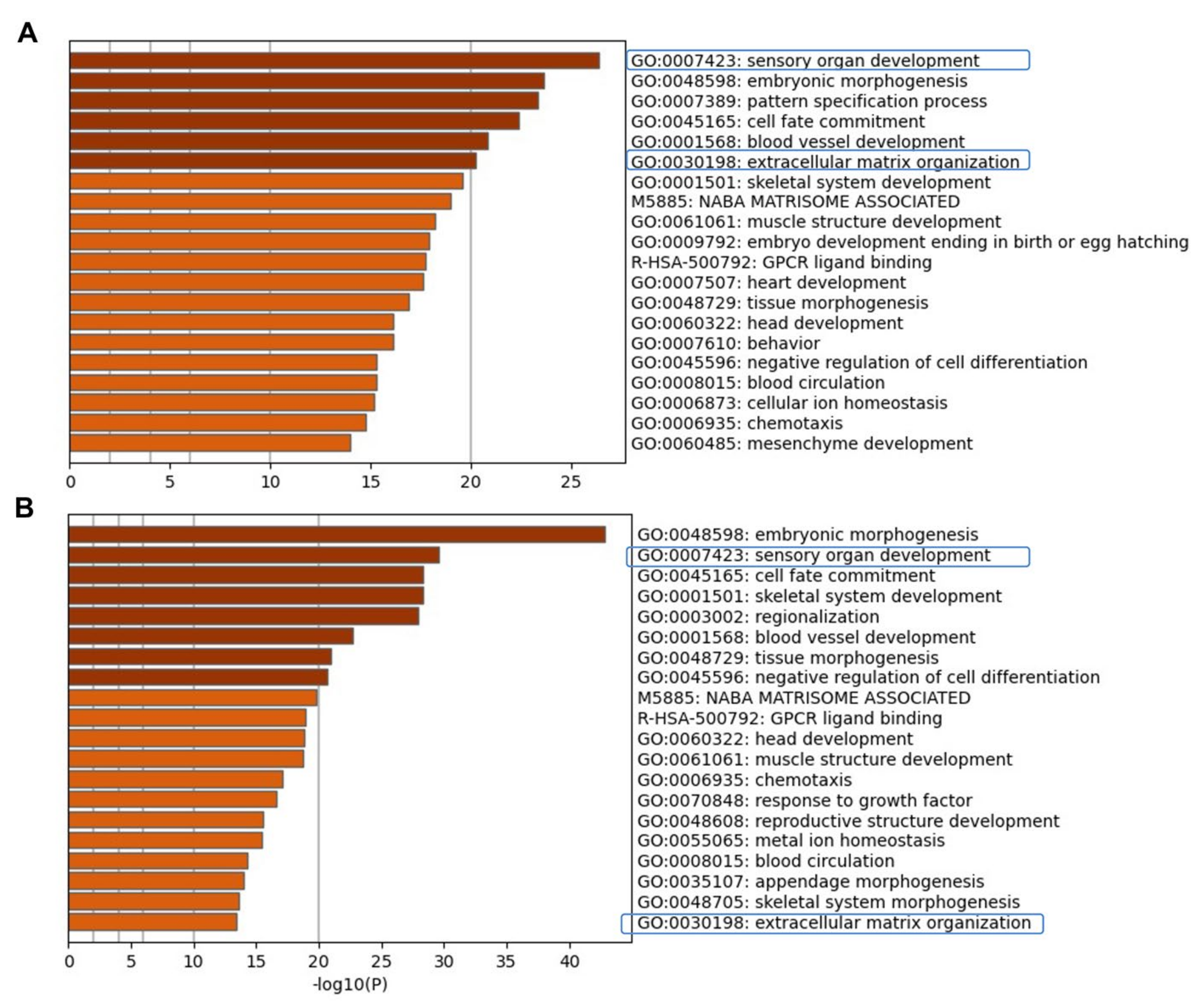 Ijms 22 10849 g003 550