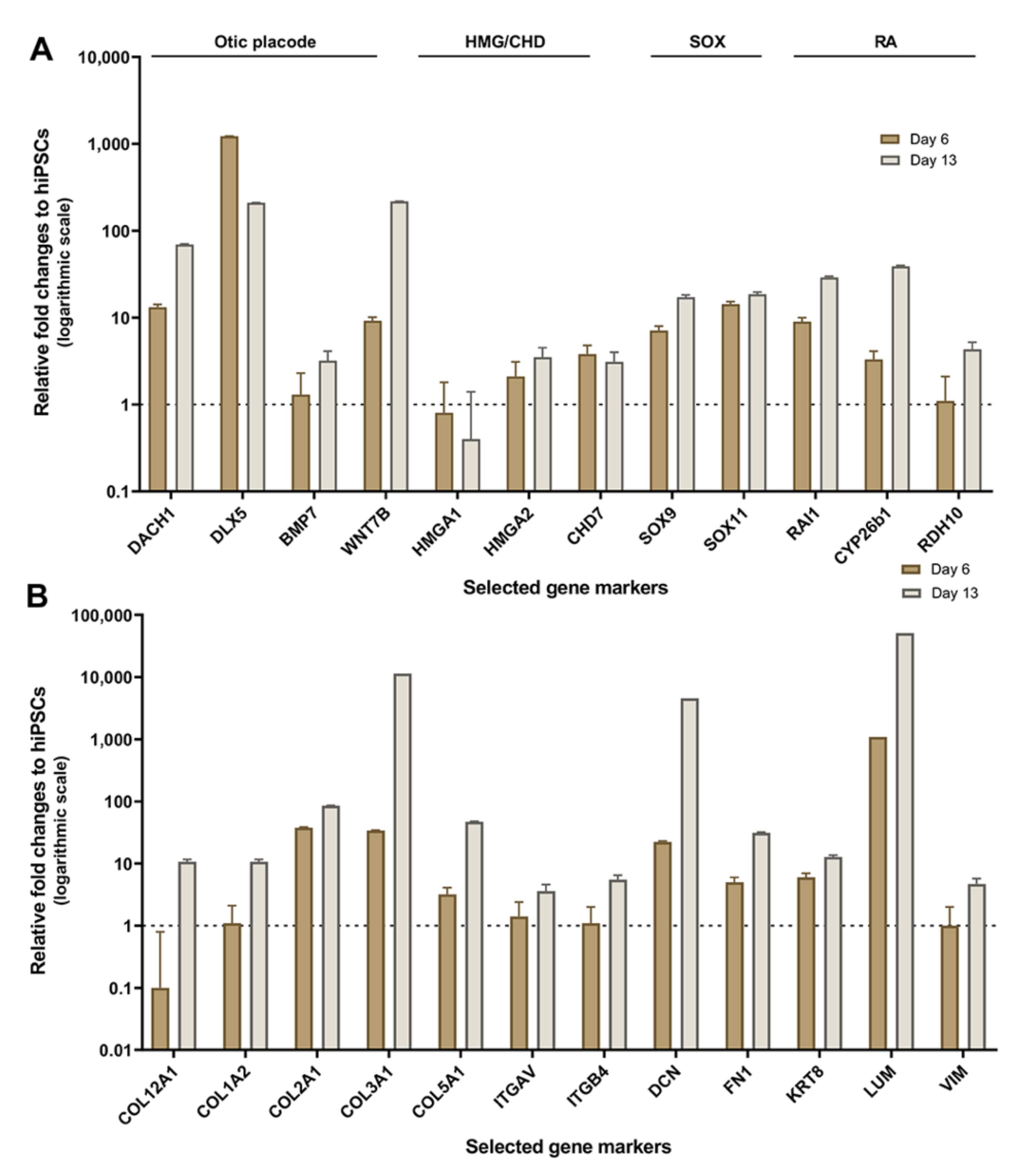 Ijms 22 10849 g006 550