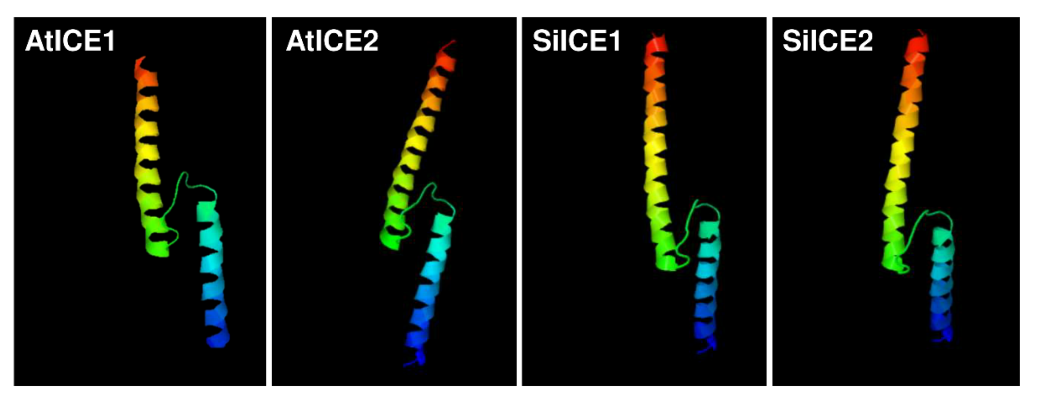Ijms 22 10850 g004 550