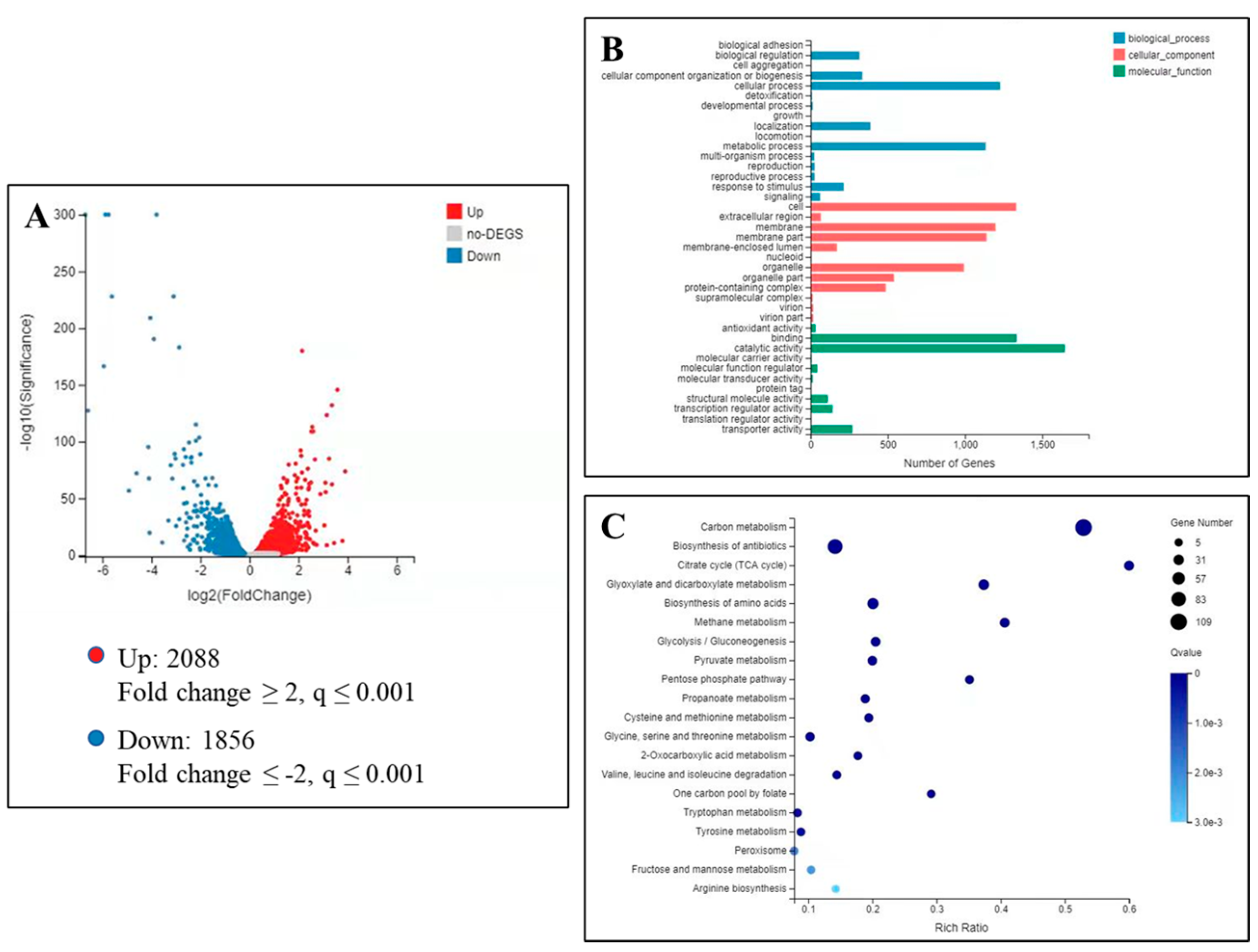 Ijms 22 10853 g007 550
