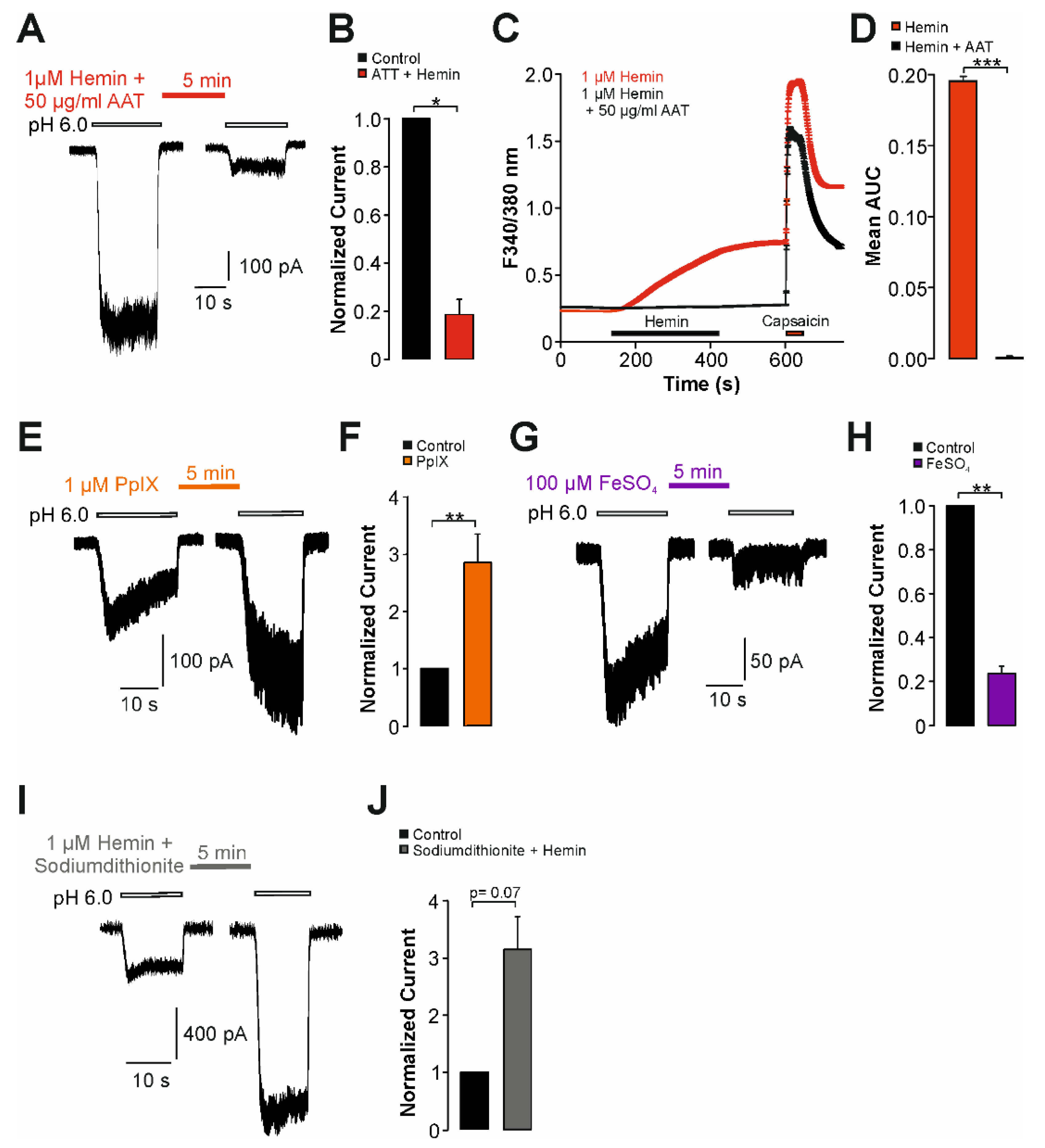 Ijms 22 10856 g004 550