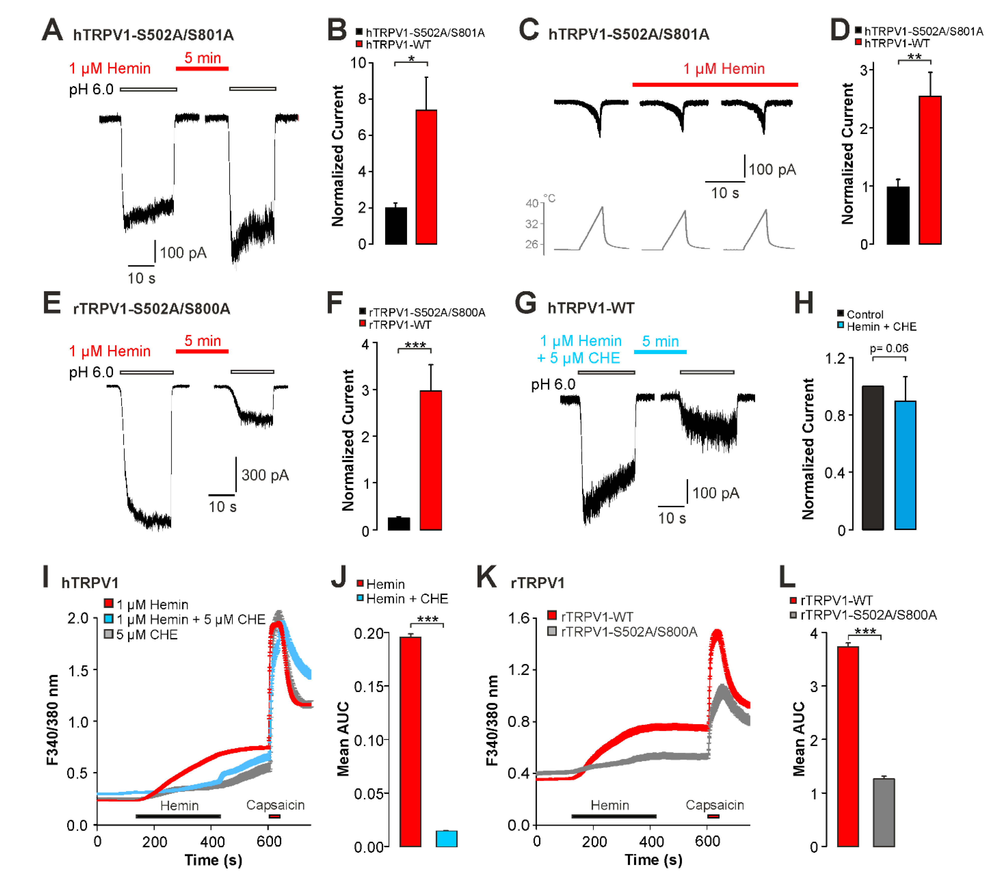 Ijms 22 10856 g005 550
