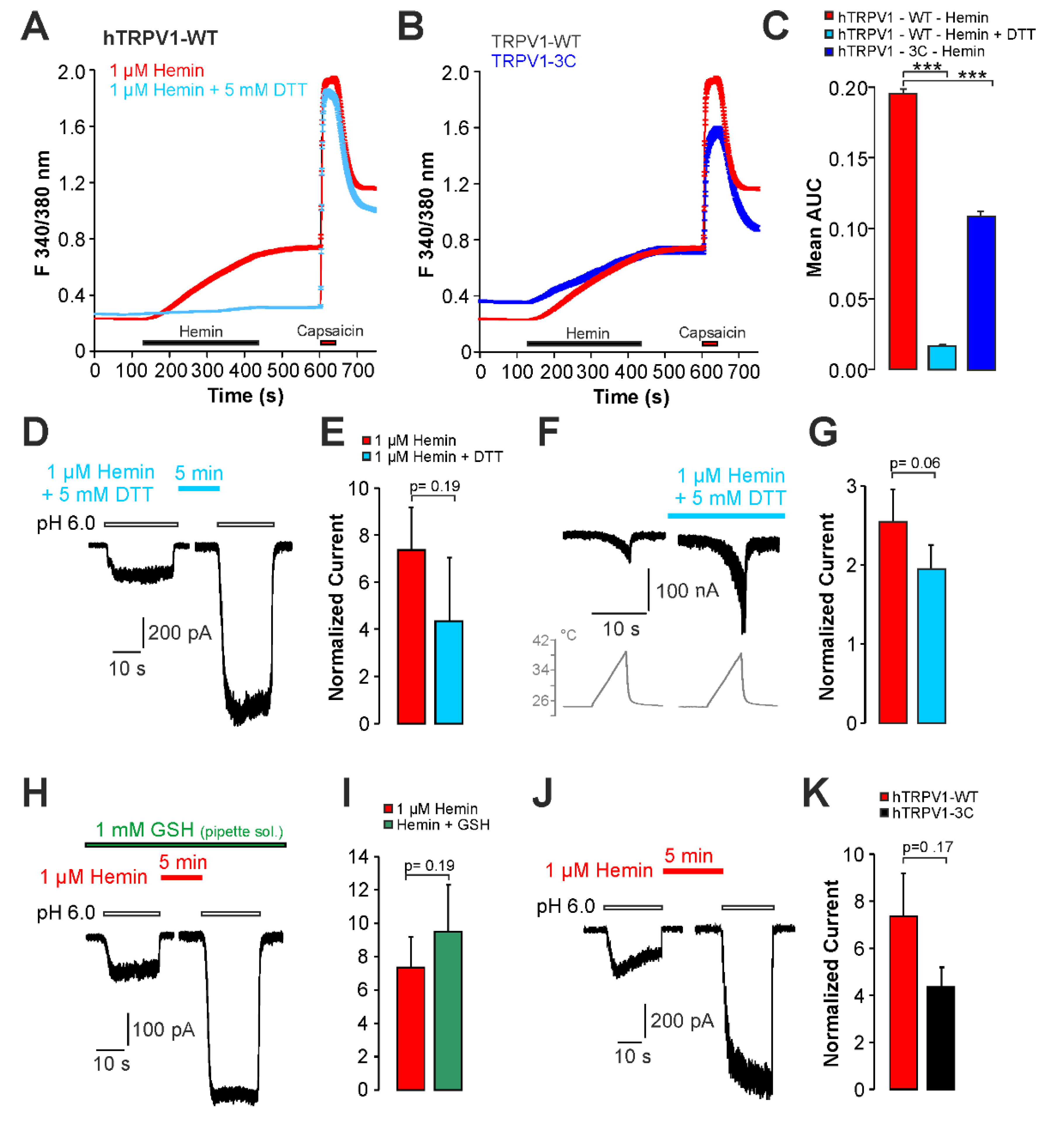Ijms 22 10856 g006 550