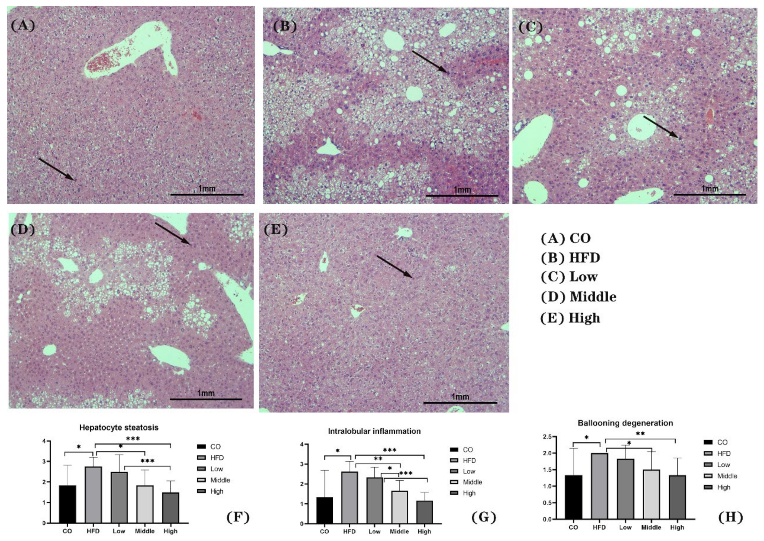 Ijms 22 10858 g003 550
