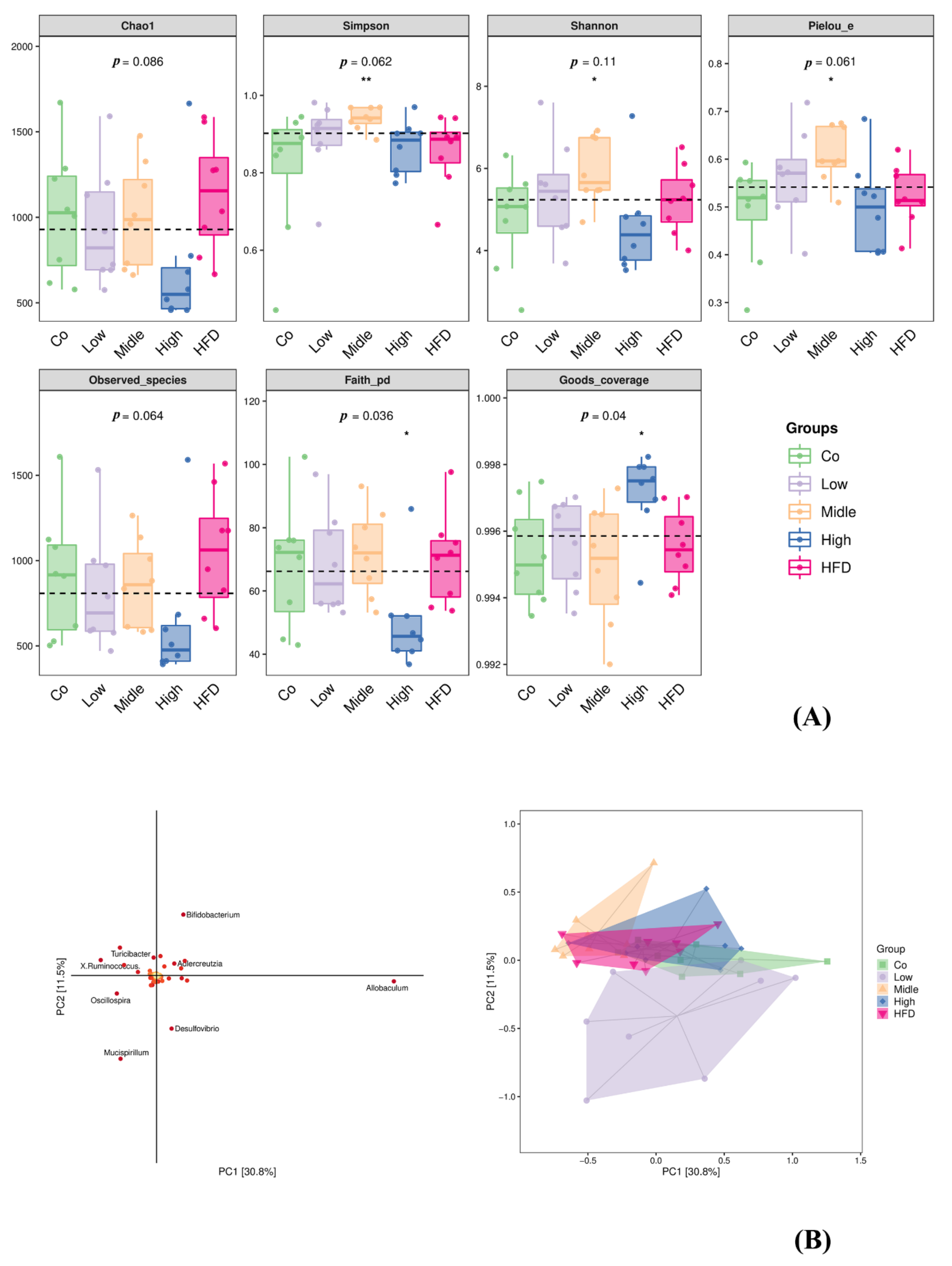 Ijms 22 10858 g007 550