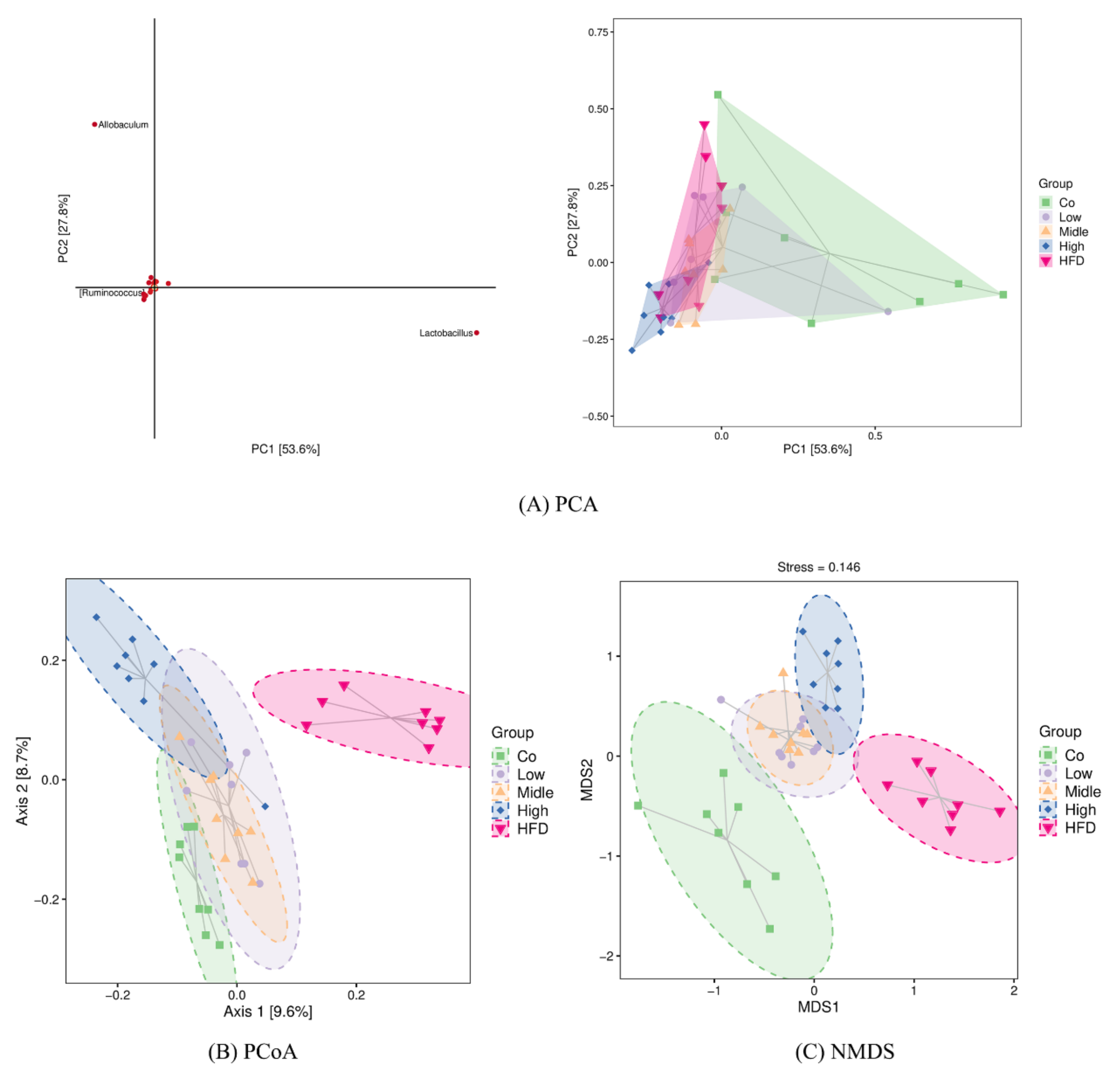 Ijms 22 10858 g008 550