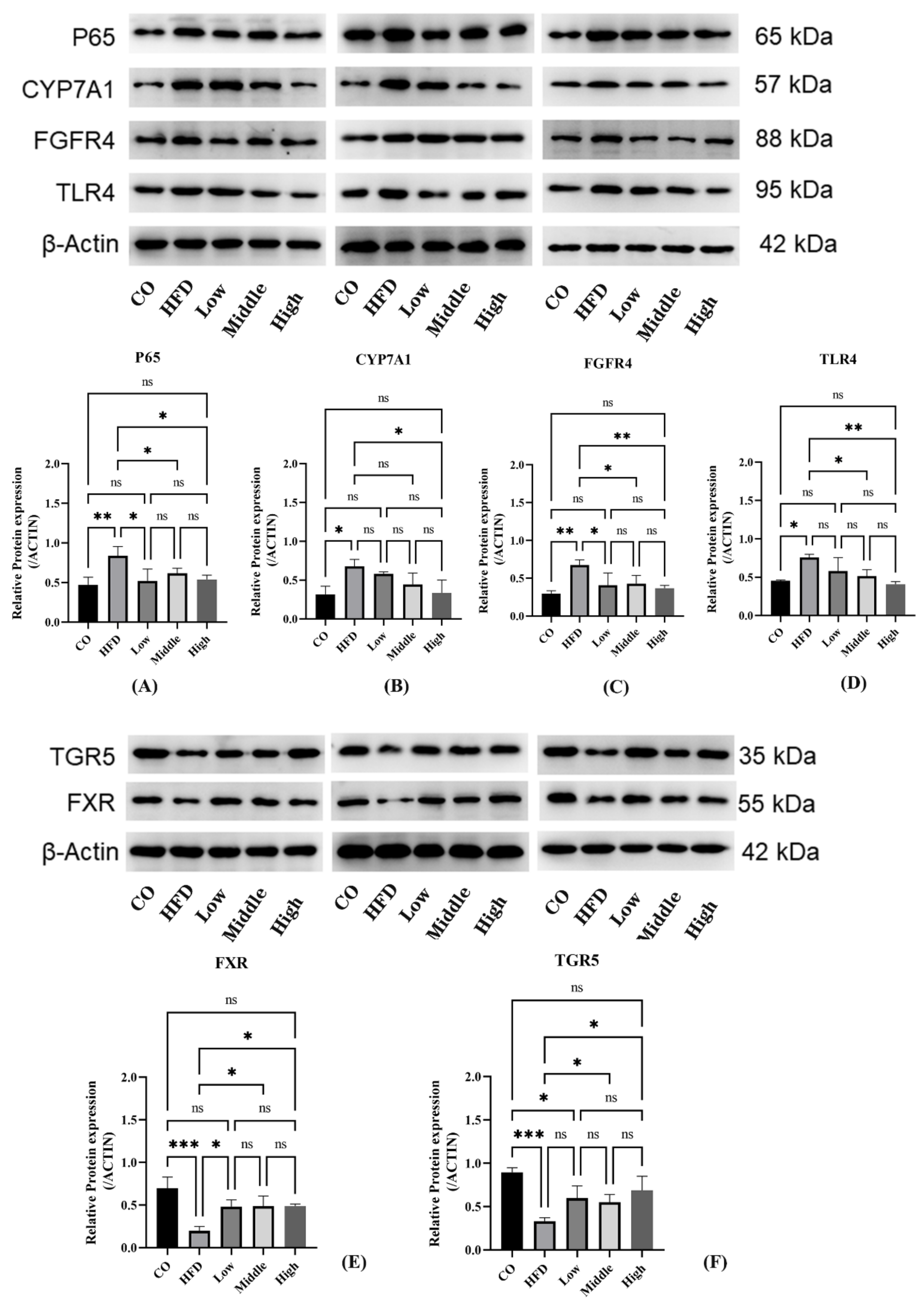 Ijms 22 10858 g011 550