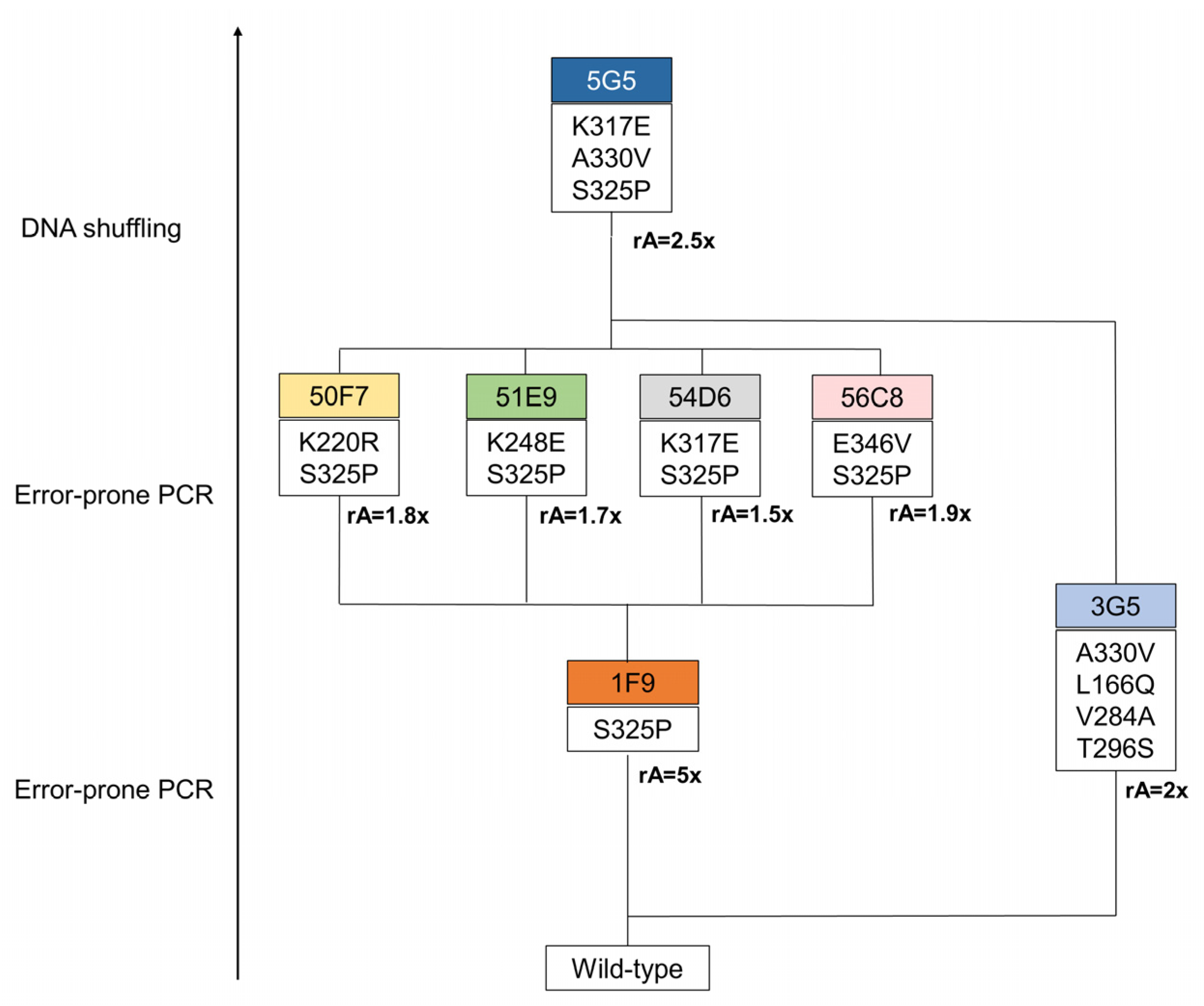 Ijms 22 10862 g001 550