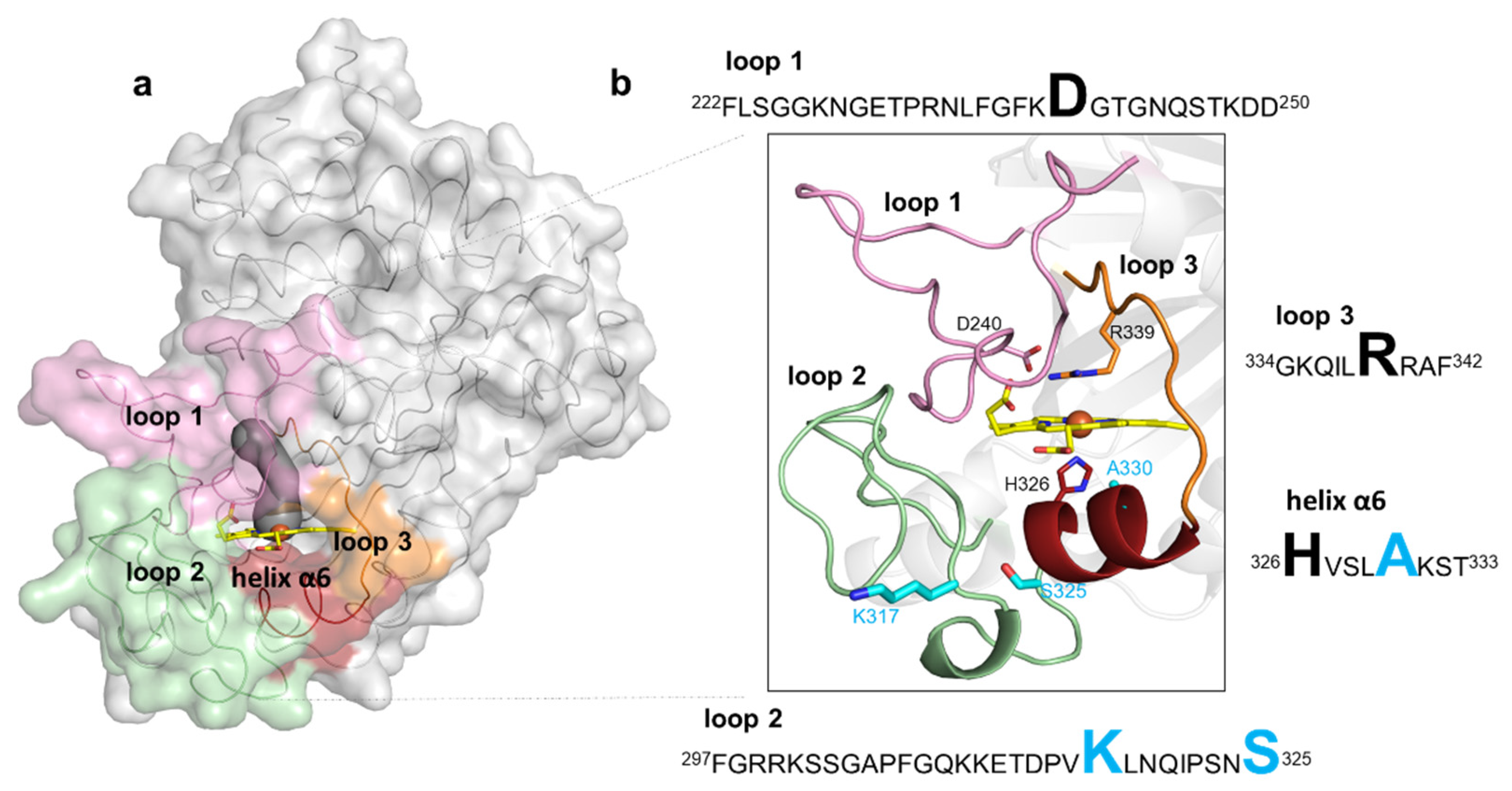 Ijms 22 10862 g003 550
