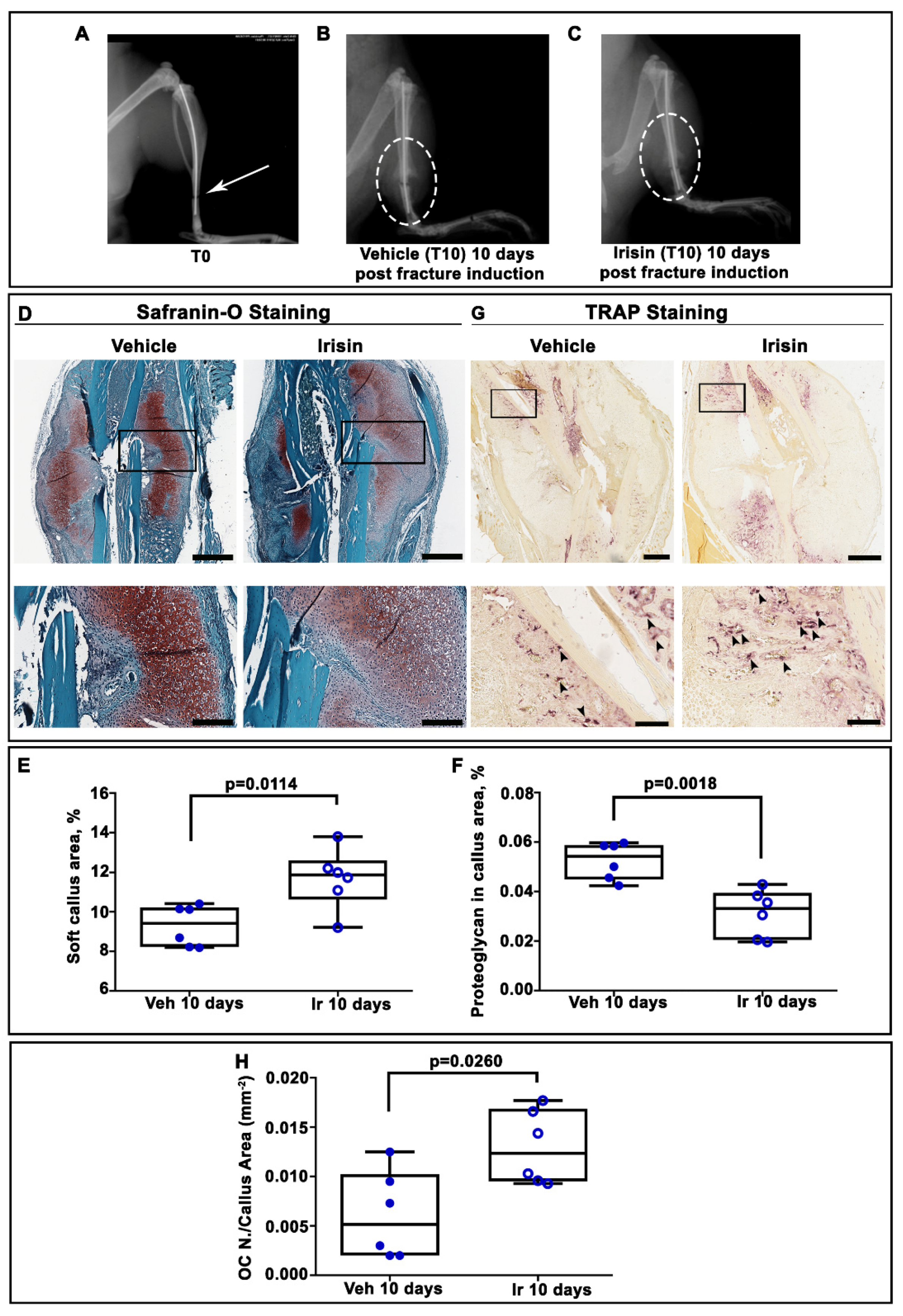 Ijms 22 10863 g001 550