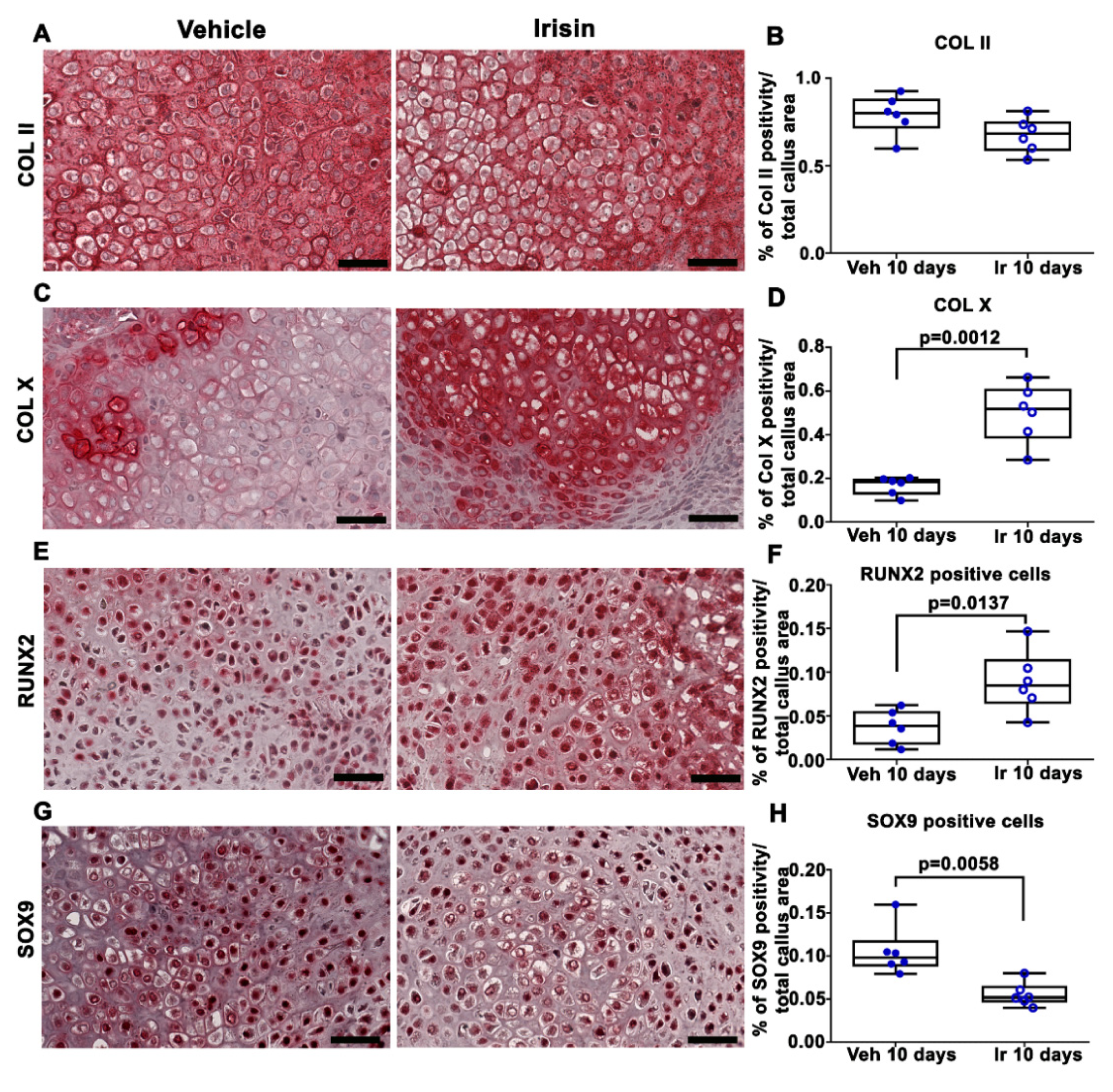 Ijms 22 10863 g002 550