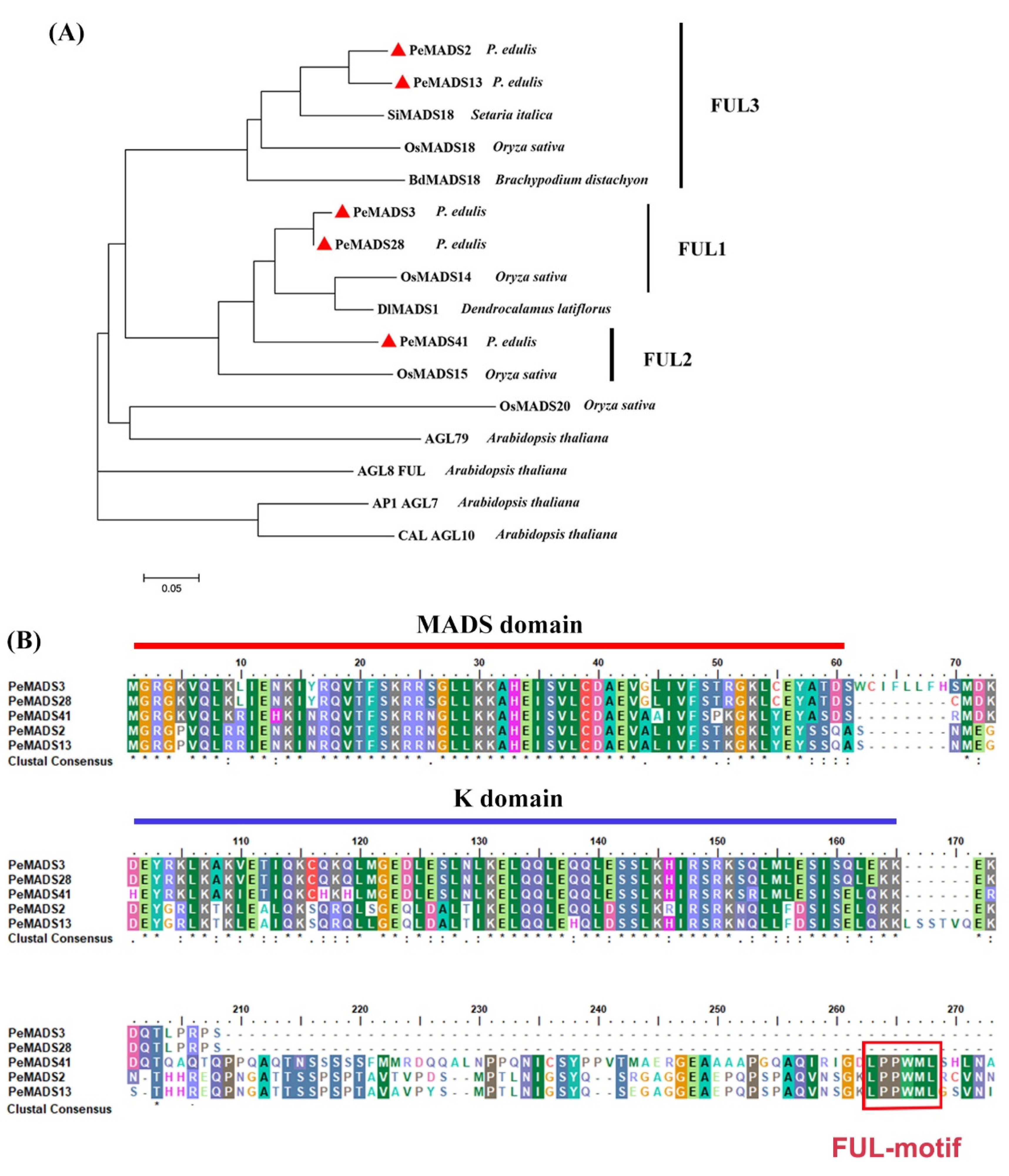 Ijms 22 10868 g001 550