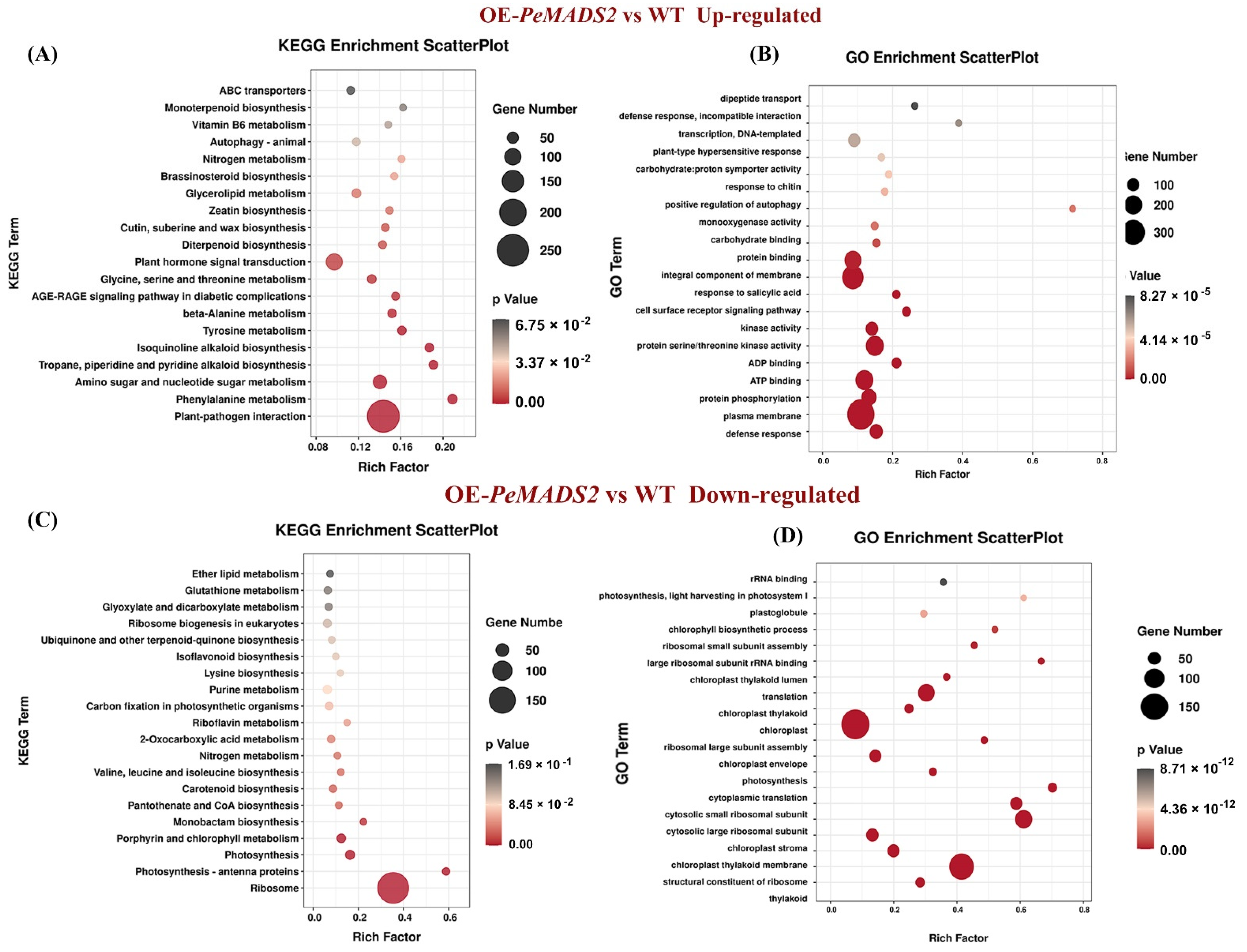 Ijms 22 10868 g006 550