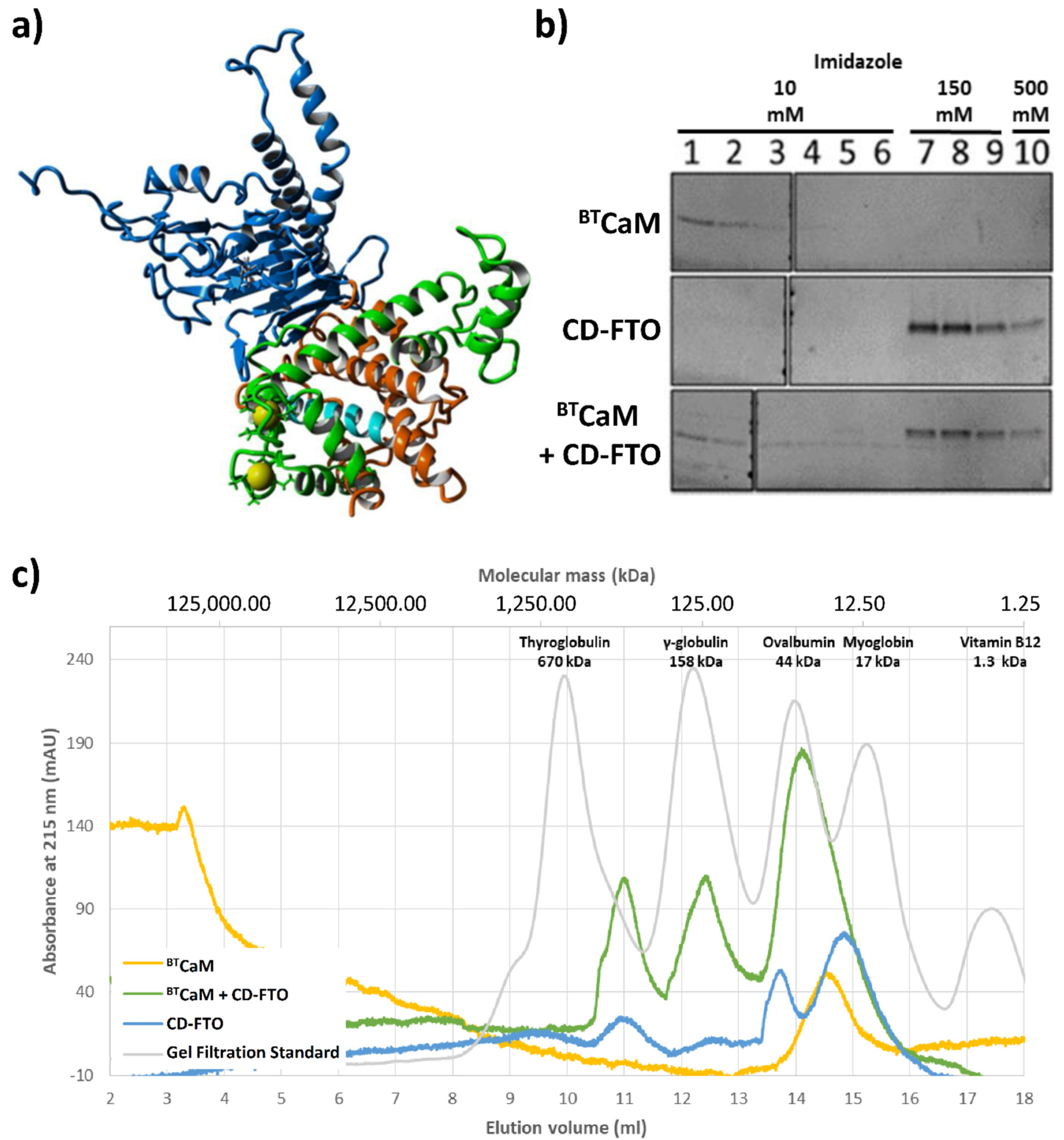 Ijms 22 10869 g006 550