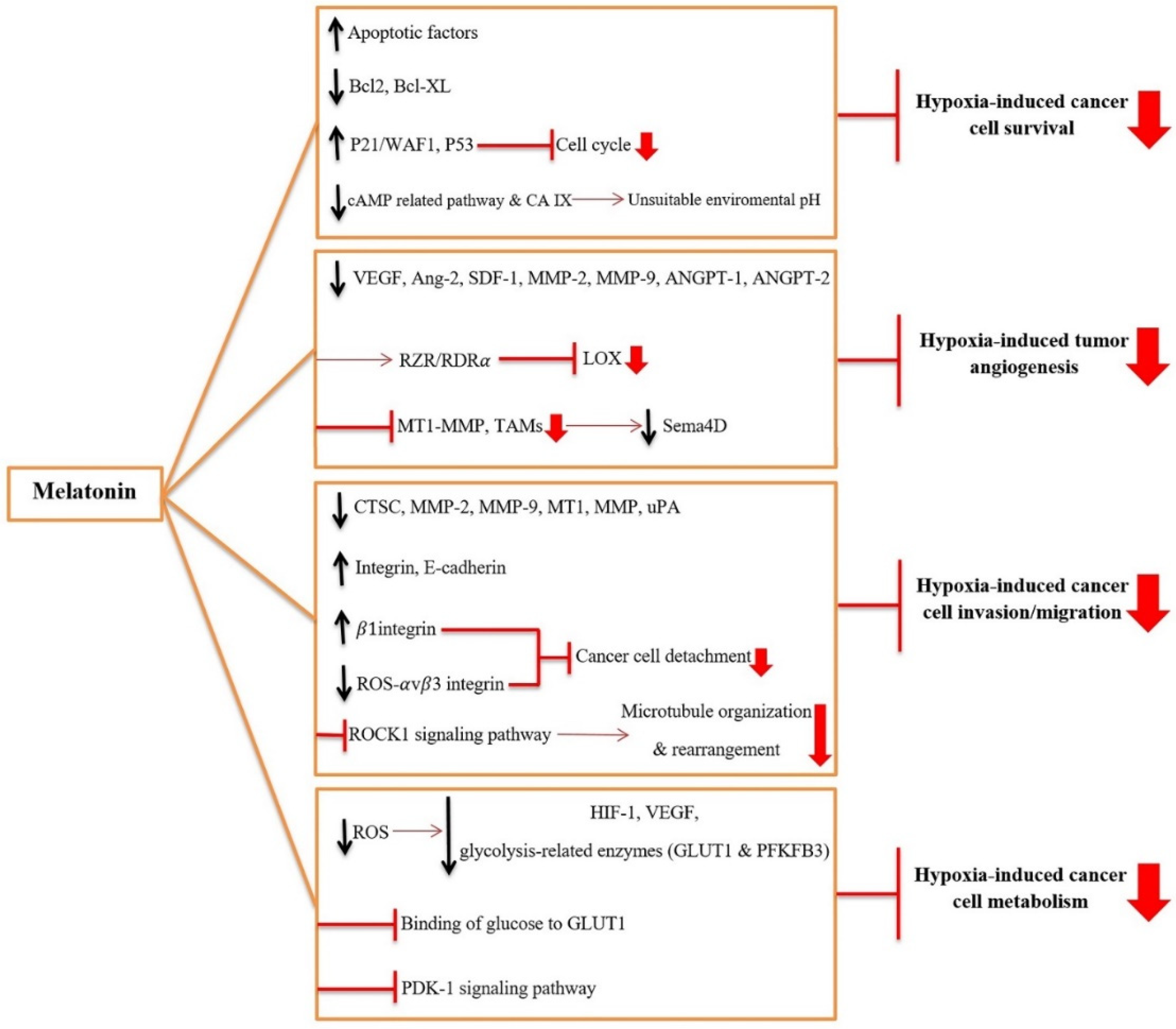 Ijms 22 10874 g002 550