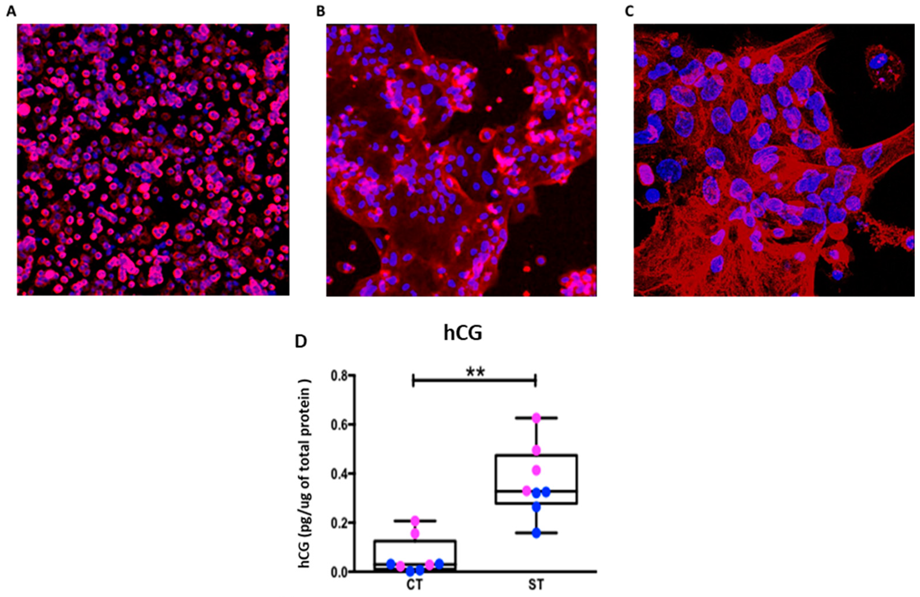 Ijms 22 10875 g001 550
