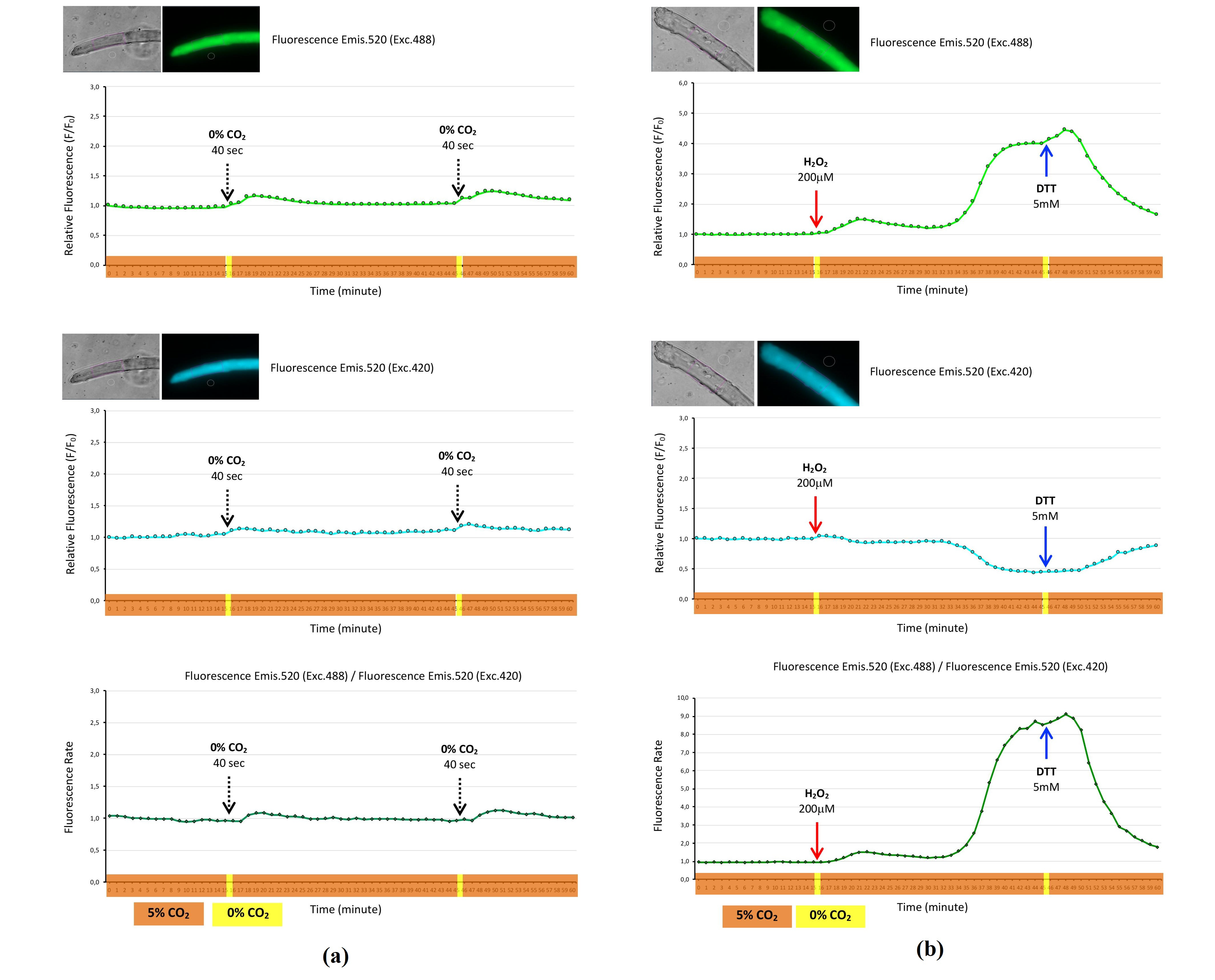 Ijms 22 10876 g001 550