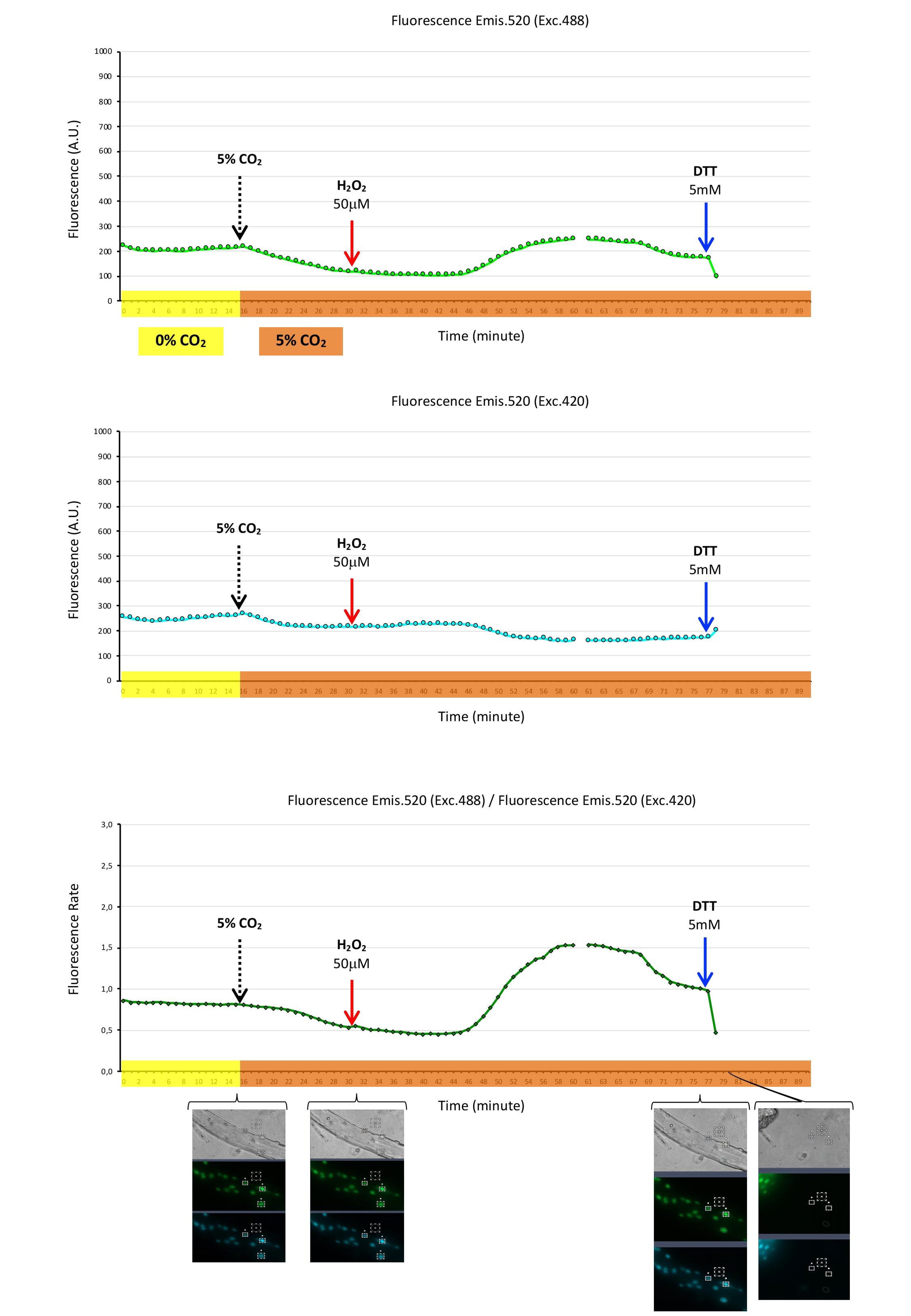 Ijms 22 10876 g003 550