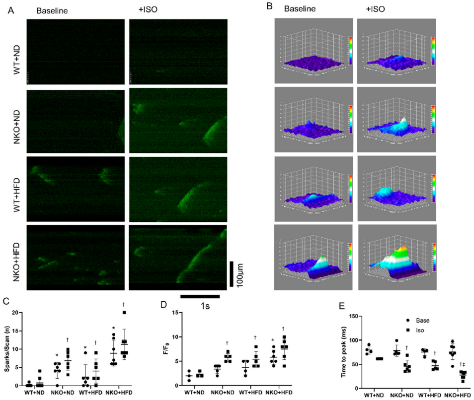 Ijms 22 10881 g002 550