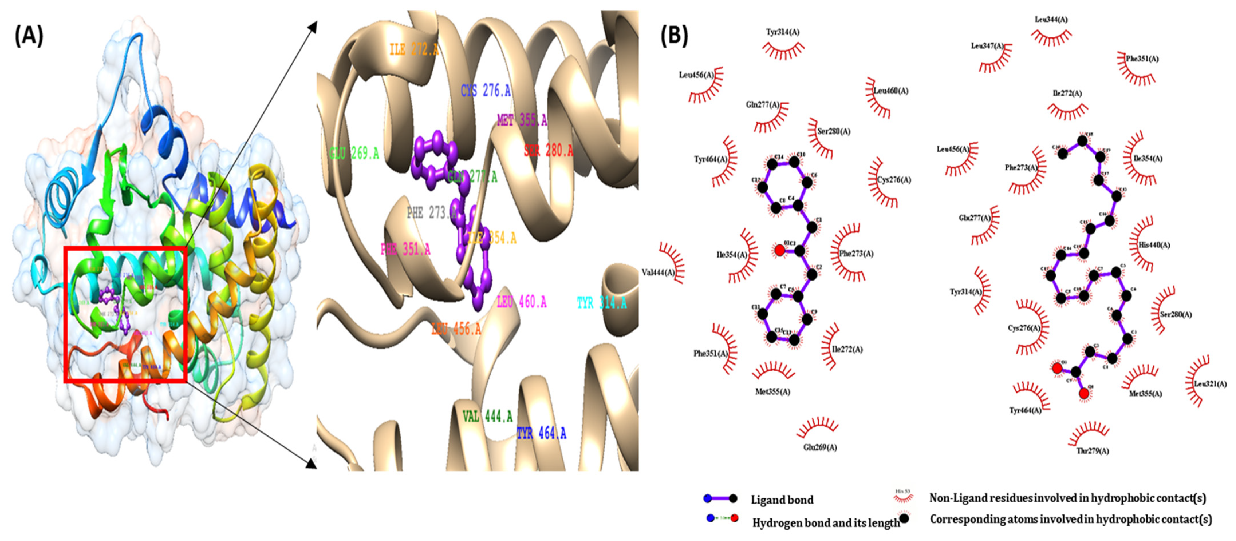 Ijms 22 10884 g003 550