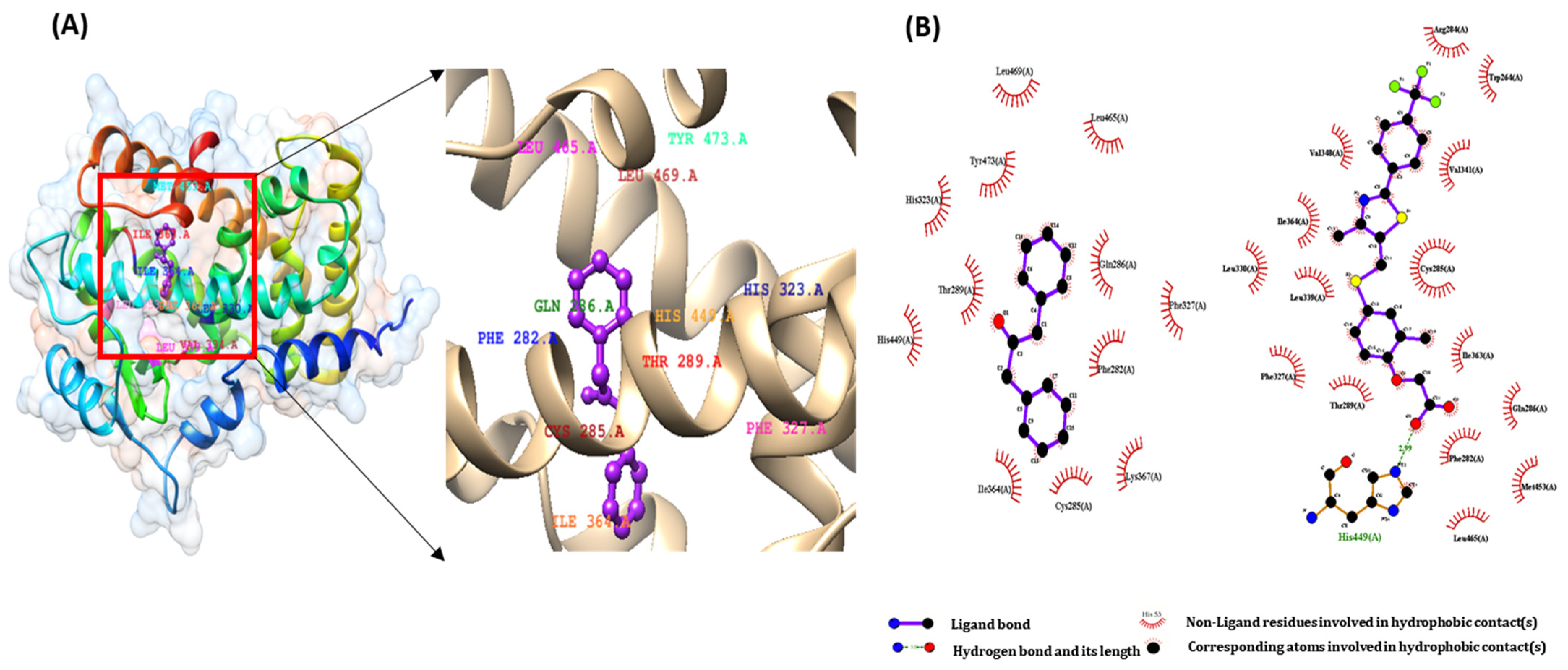 Ijms 22 10884 g004 550