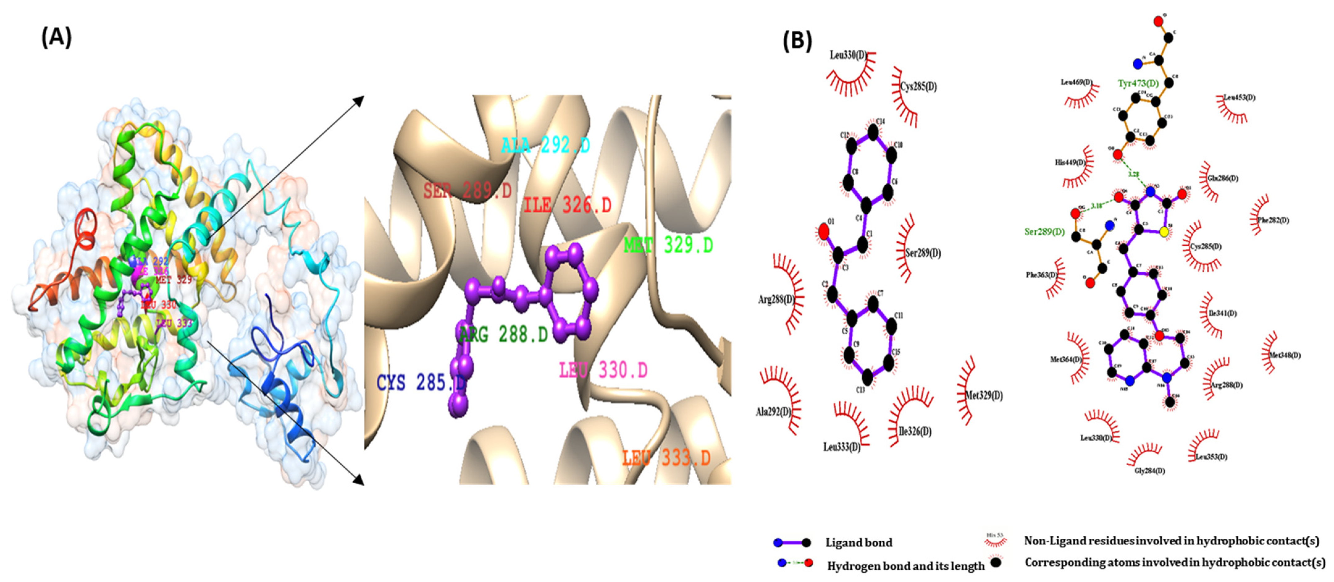Ijms 22 10884 g005 550