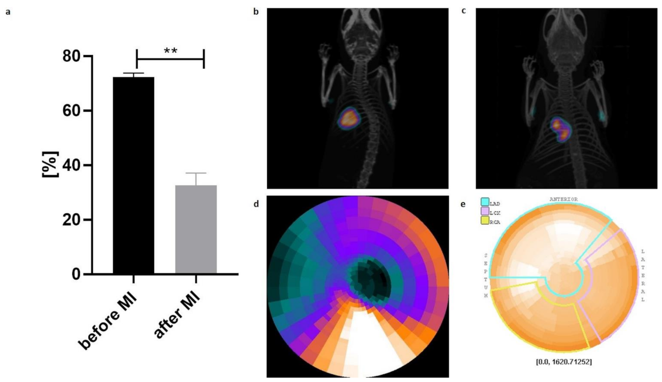 Ijms 22 10885 g004 Ijms 22 10885 g004