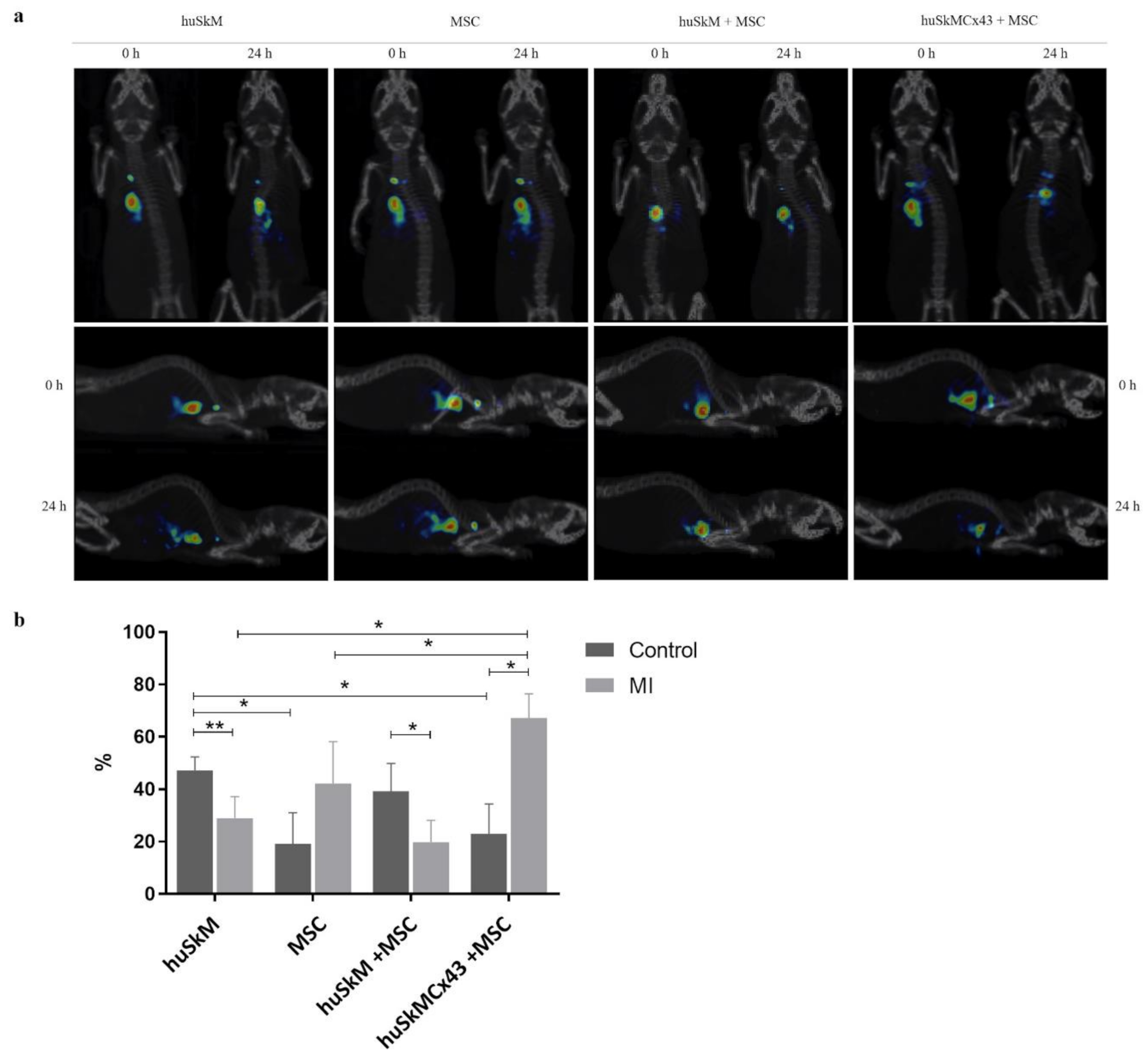 Ijms 22 10885 g005 Ijms 22 10885 g005
