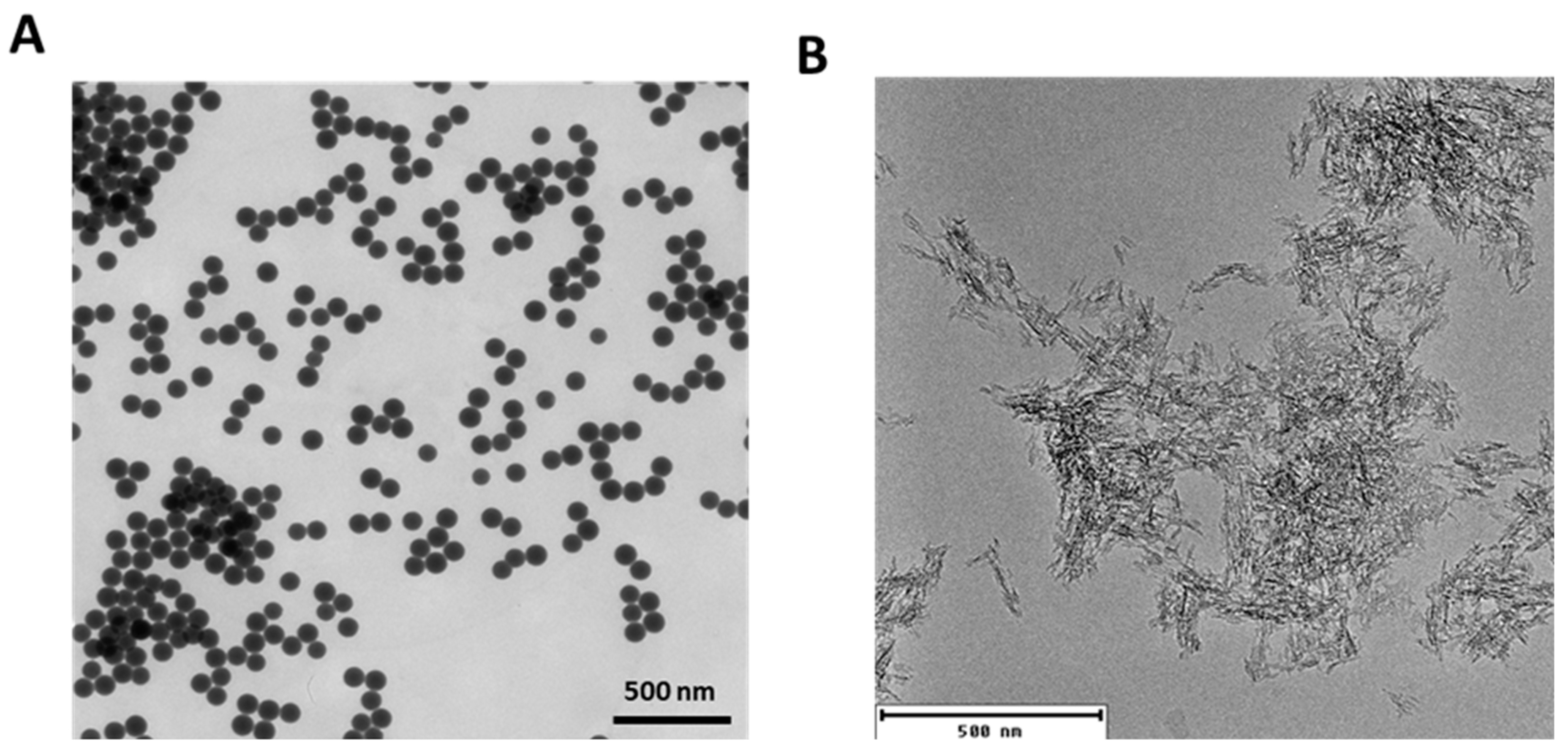 Ijms 22 10895 g001 550